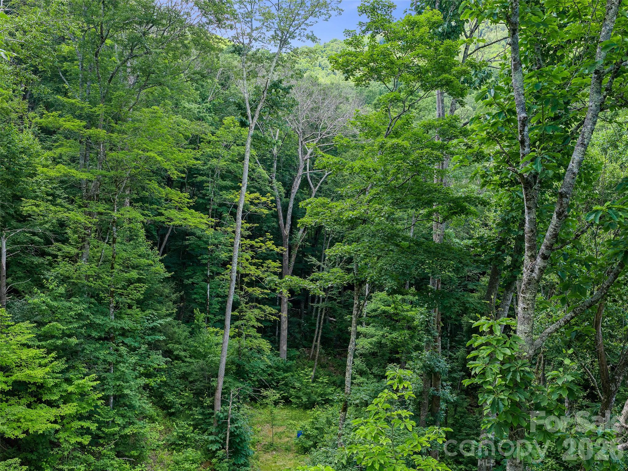000 Ogles Gap Road Property Photo 28