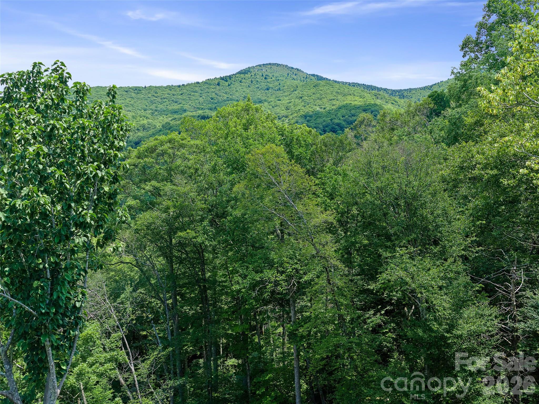 000 Ogles Gap Road Property Photo 29