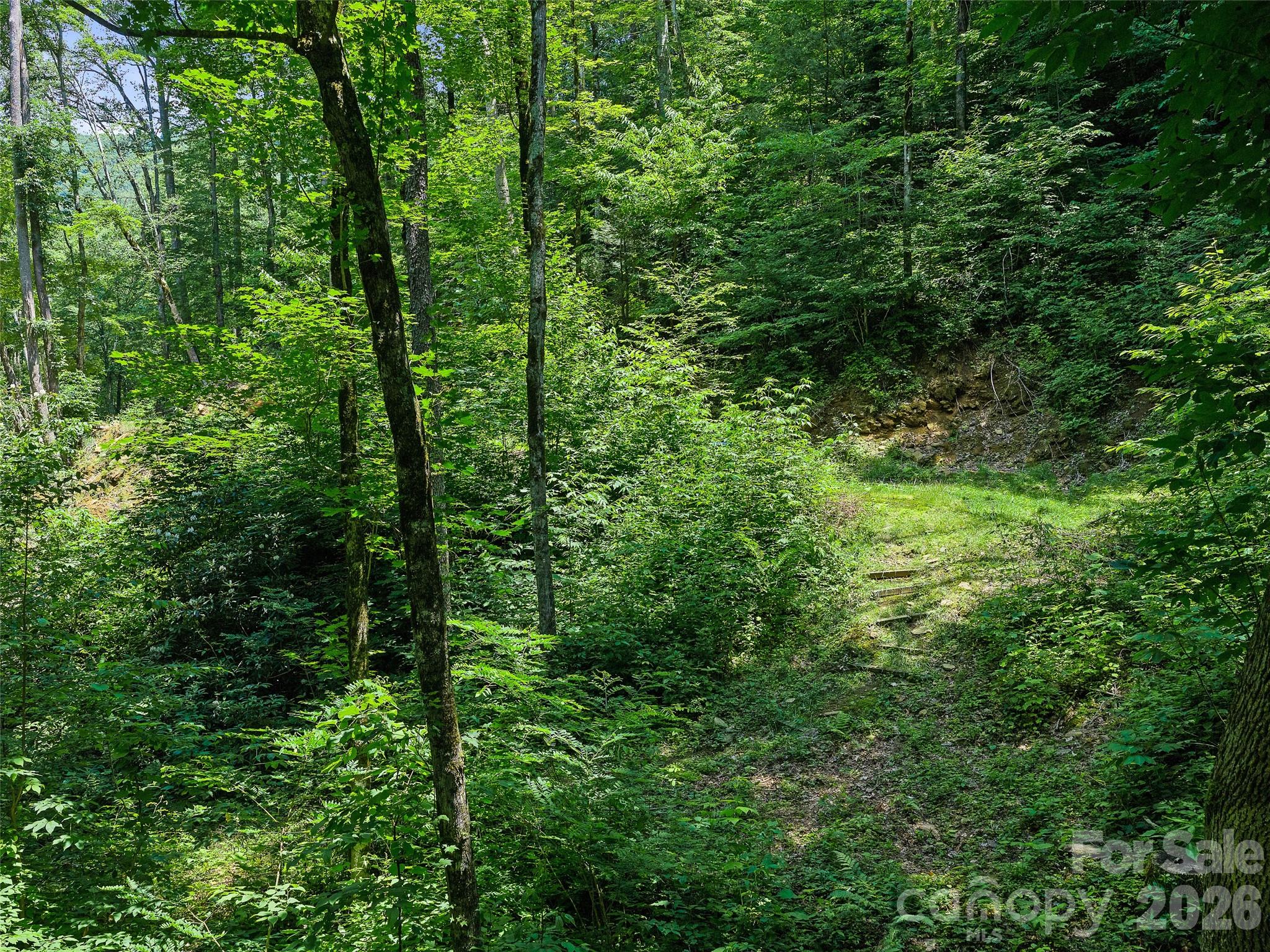 000 Ogles Gap Road Property Photo 30