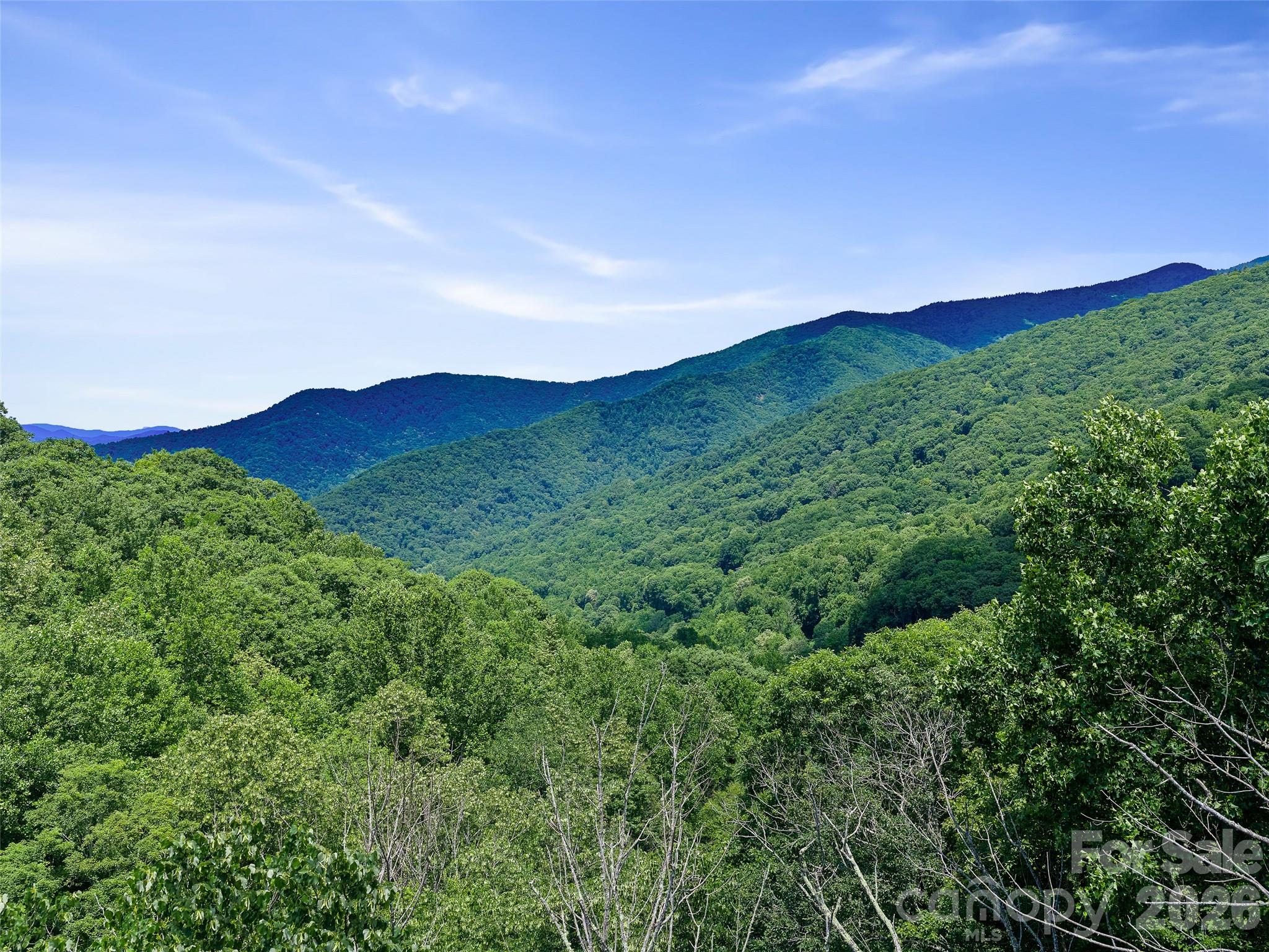 000 Ogles Gap Road Property Photo 31