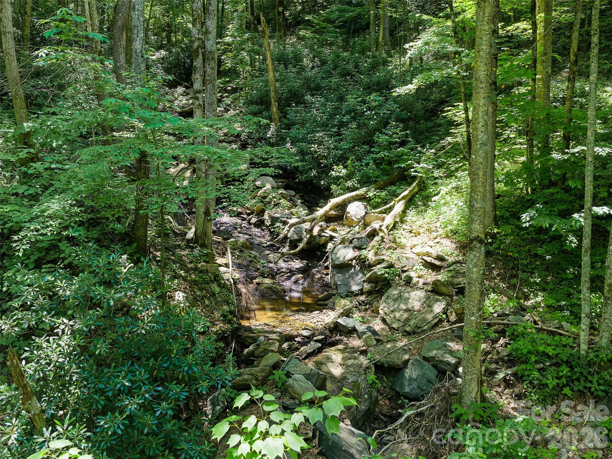 000 Ogles Gap Road Property Photo 32