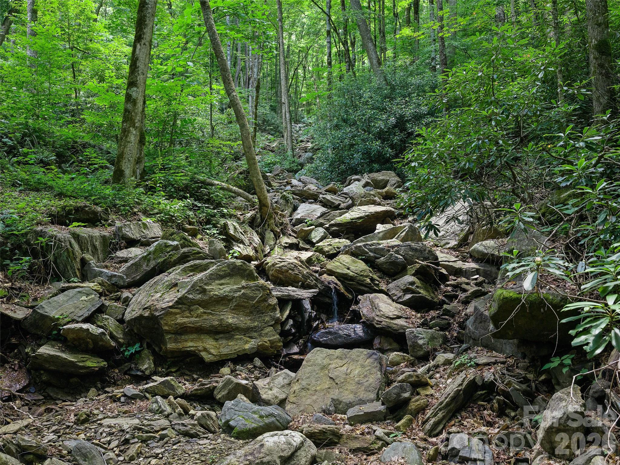 000 Ogles Gap Road Property Photo 33