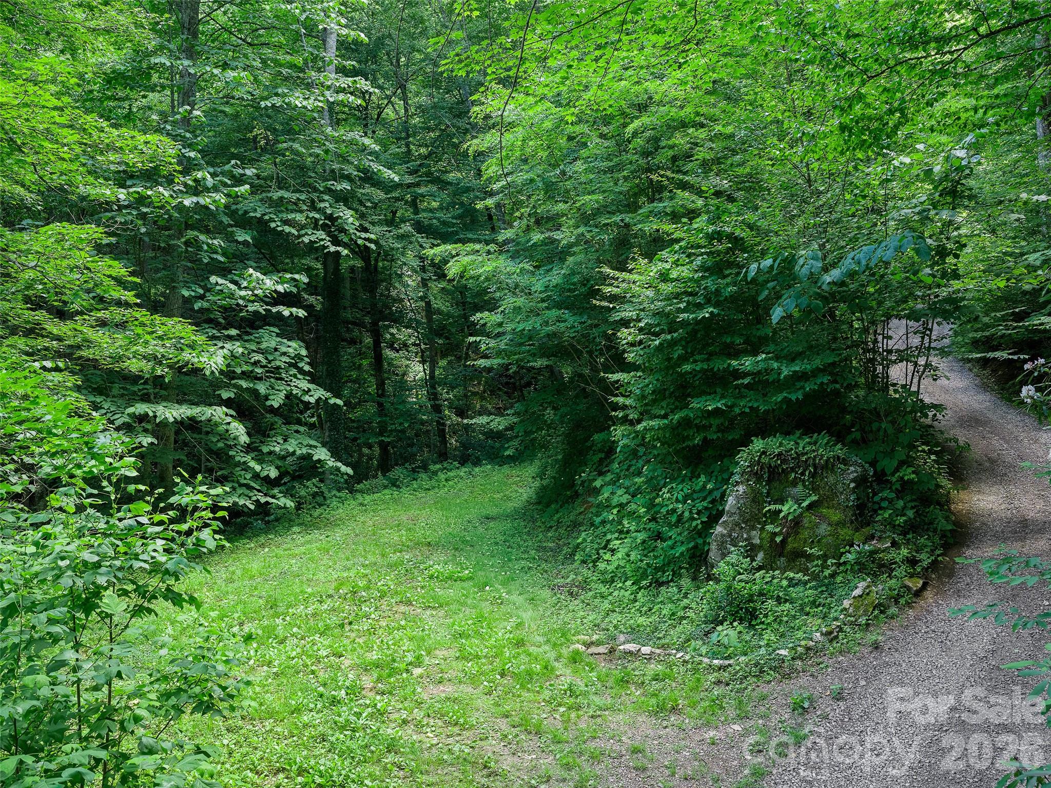 000 Ogles Gap Road Property Photo 35
