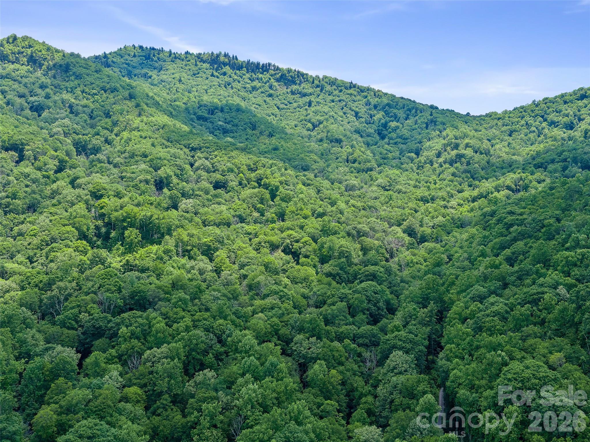 000 Ogles Gap Road Property Photo 36