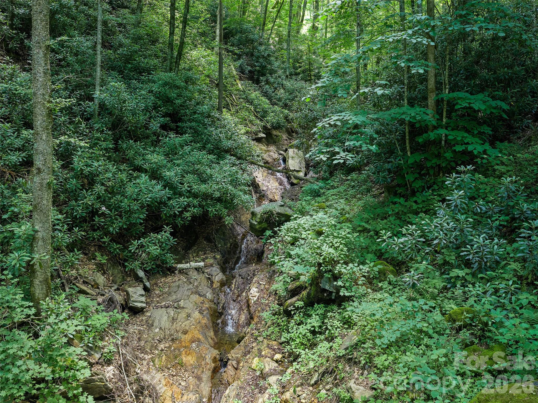 000 Ogles Gap Road Property Photo 37