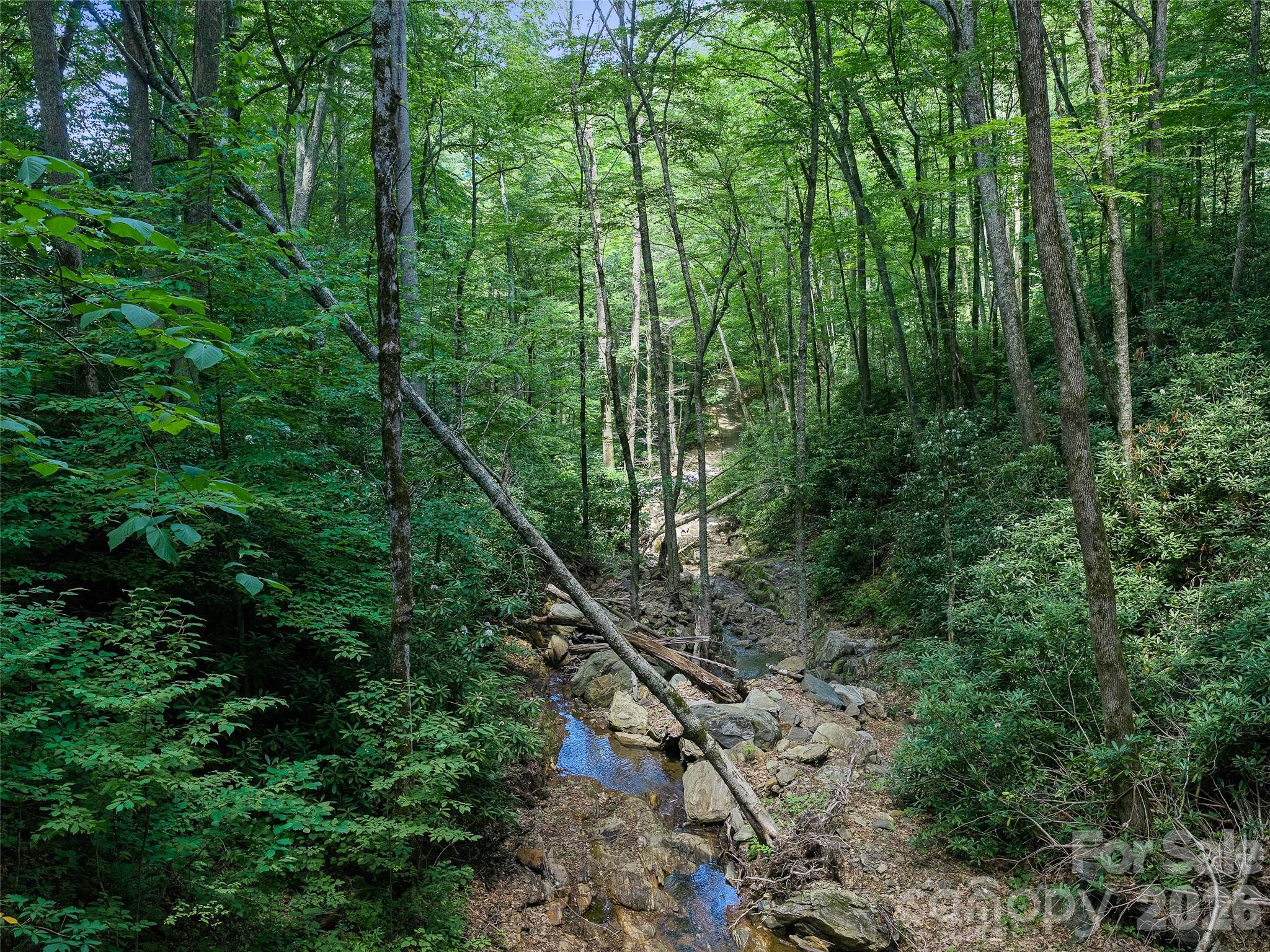 000 Ogles Gap Road Property Photo 38