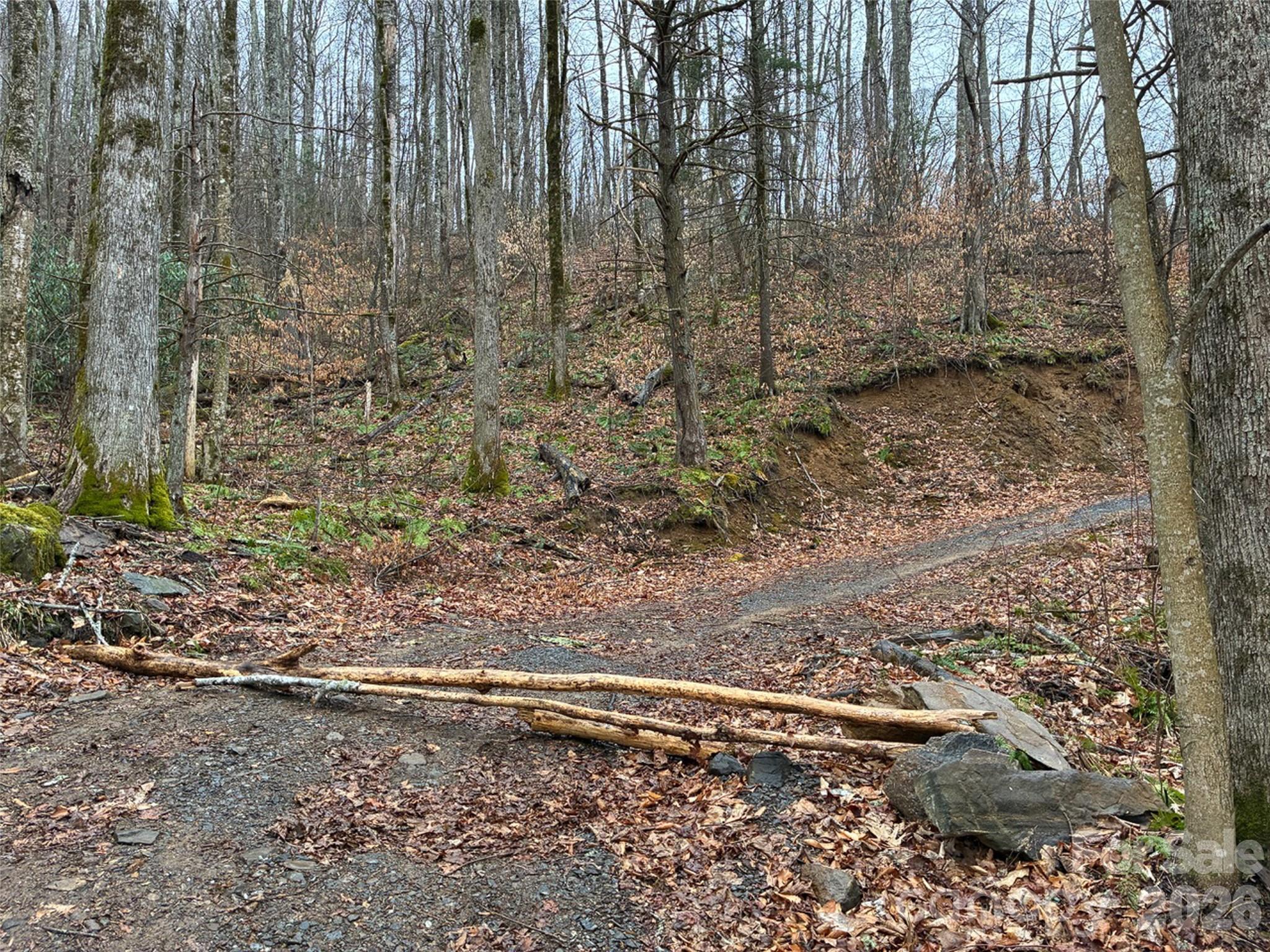 000 Ogles Gap Road Property Photo 41