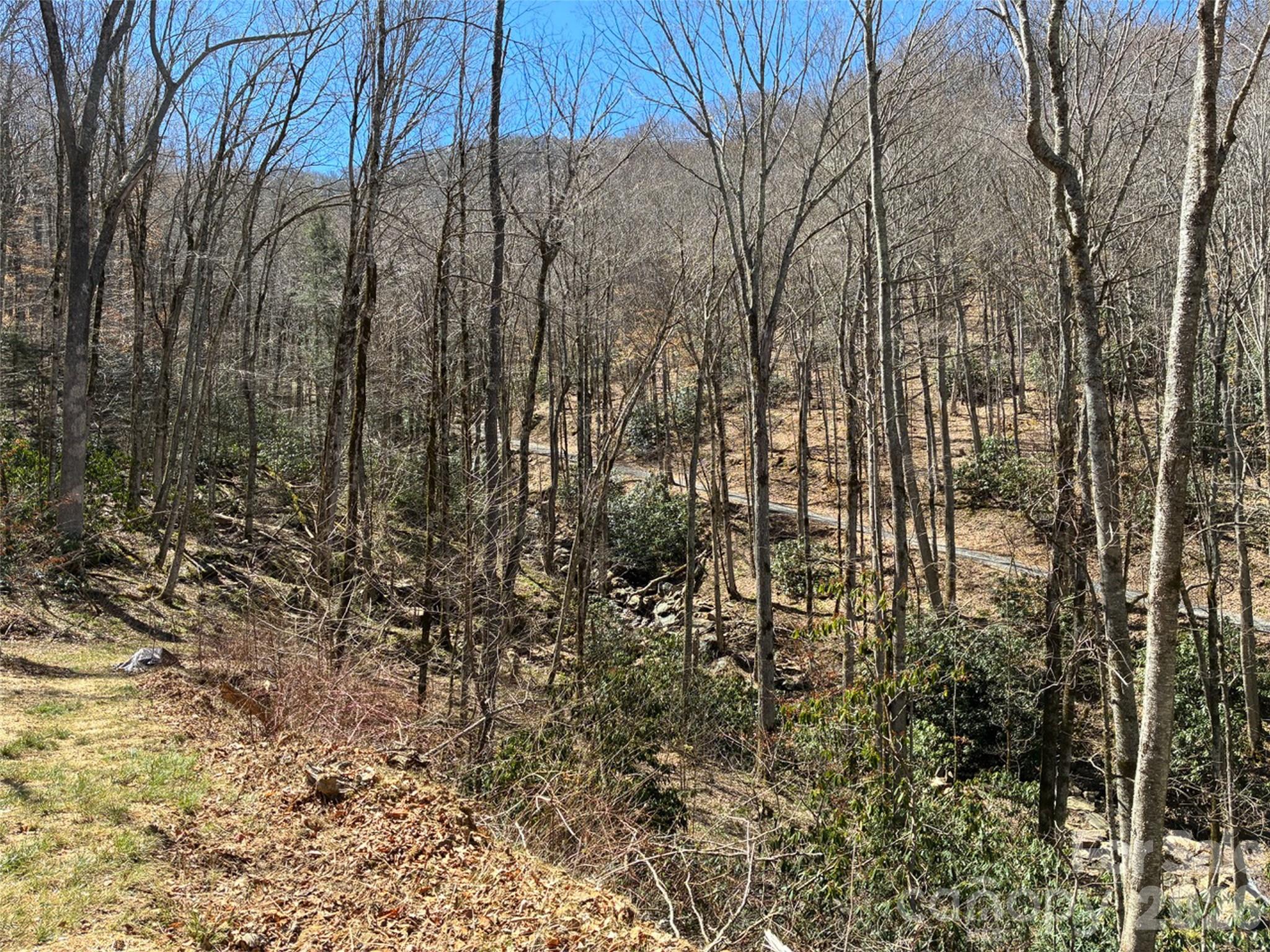 000 Ogles Gap Road Property Photo 42