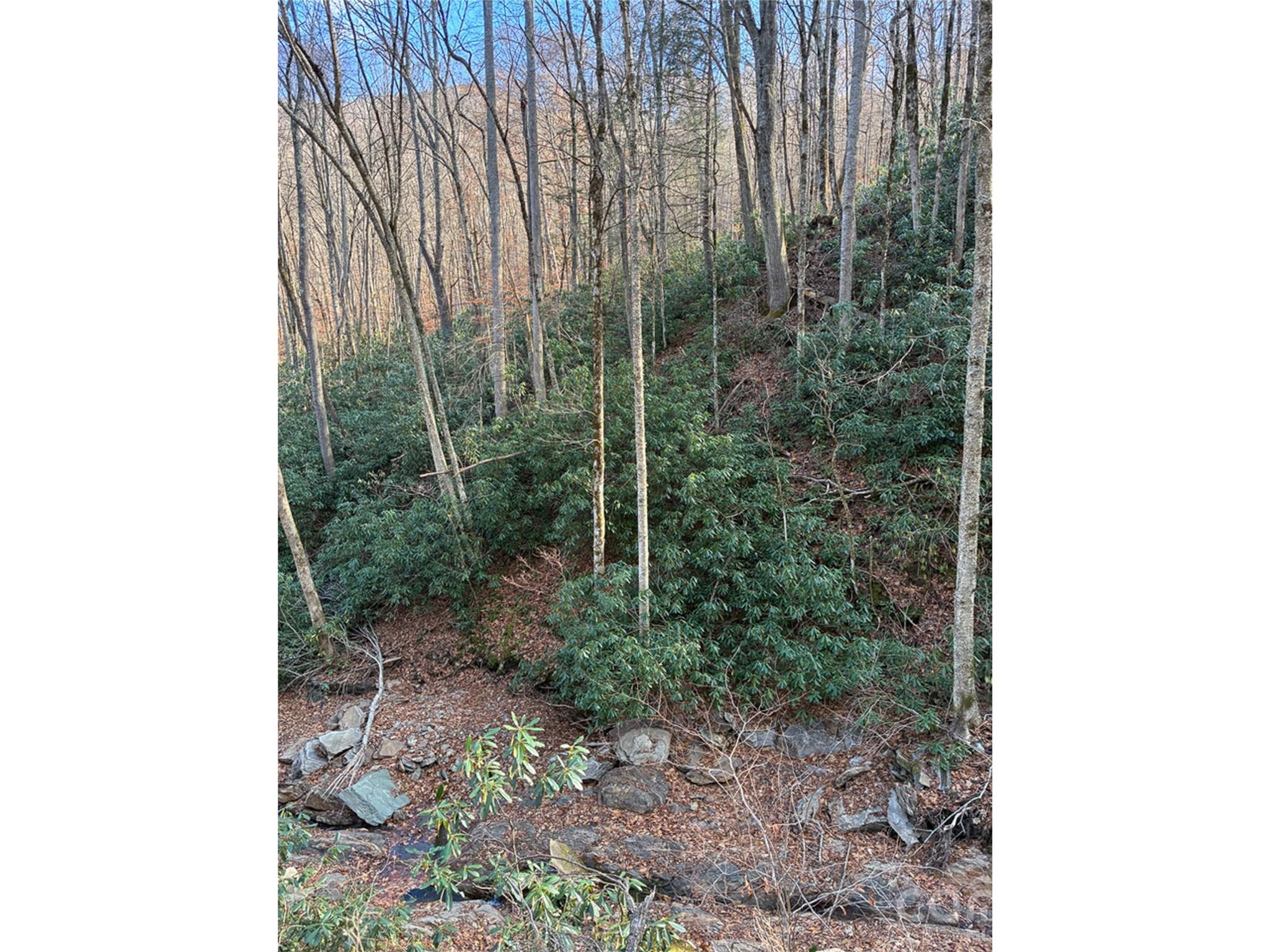 000 Ogles Gap Road Property Photo 43