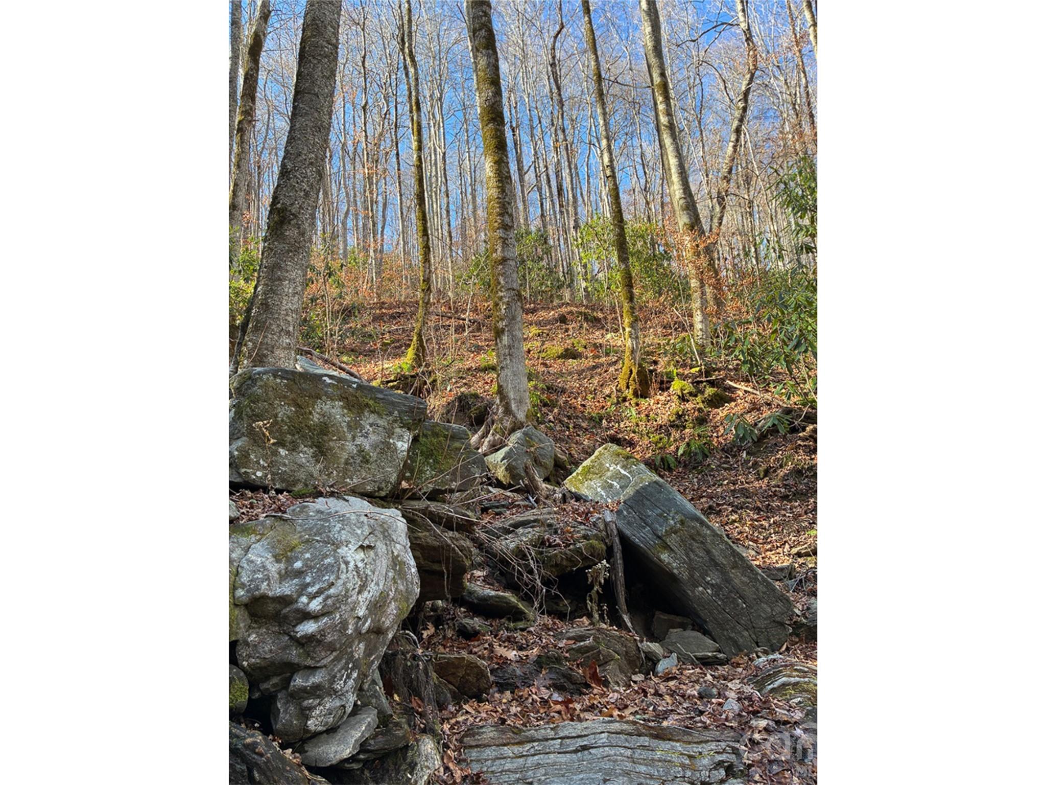 000 Ogles Gap Road Property Photo 44