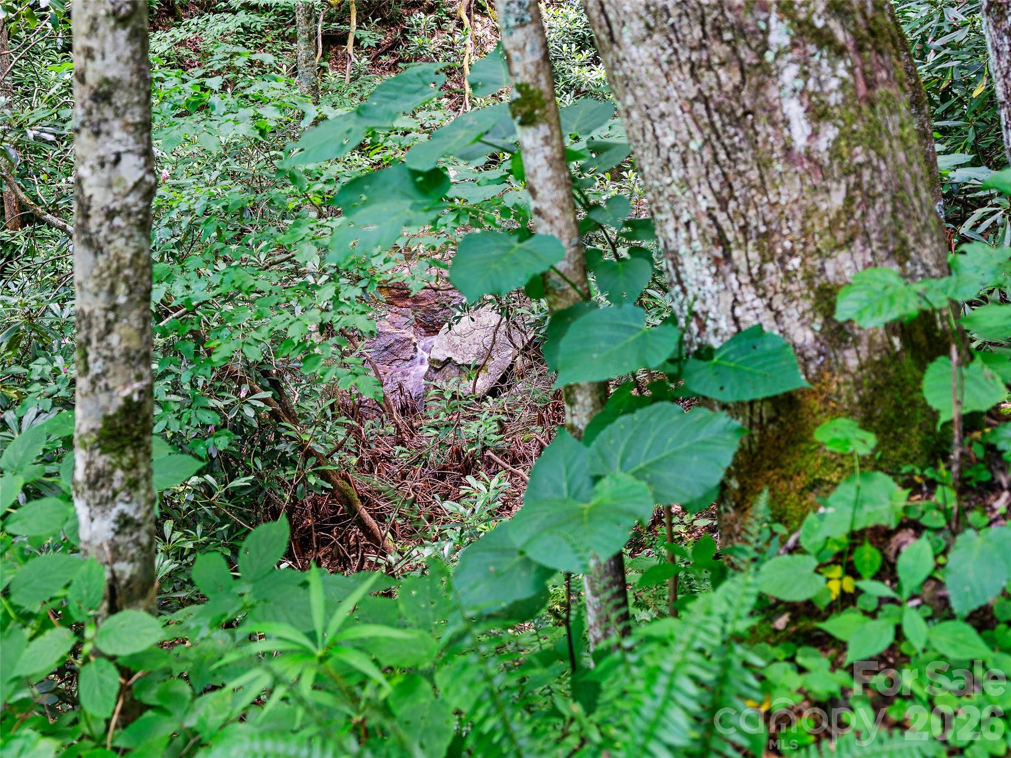 000 Ogles Gap Road Property Photo 45