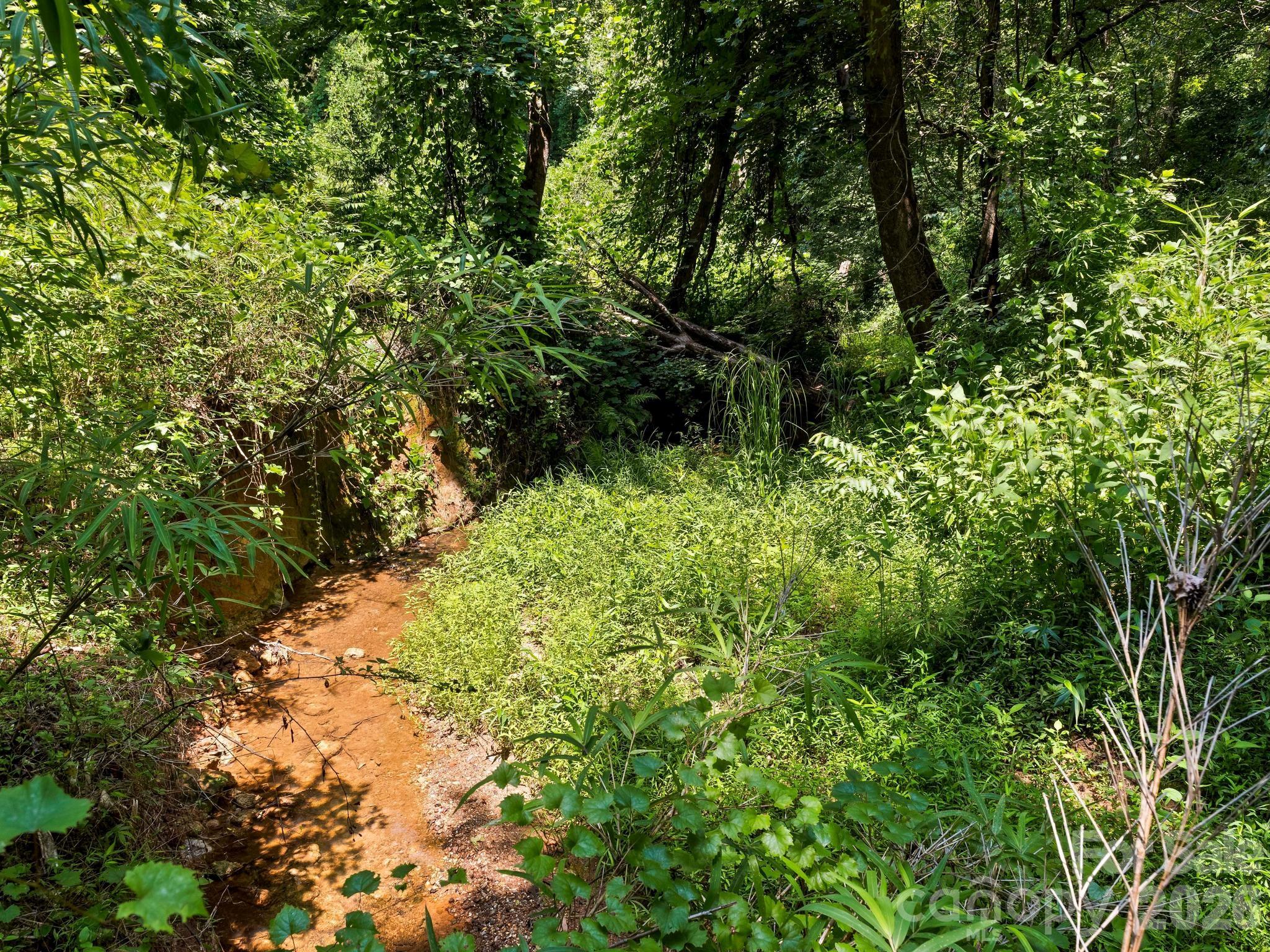 1541 Sandy Springs Road Property Photo 31