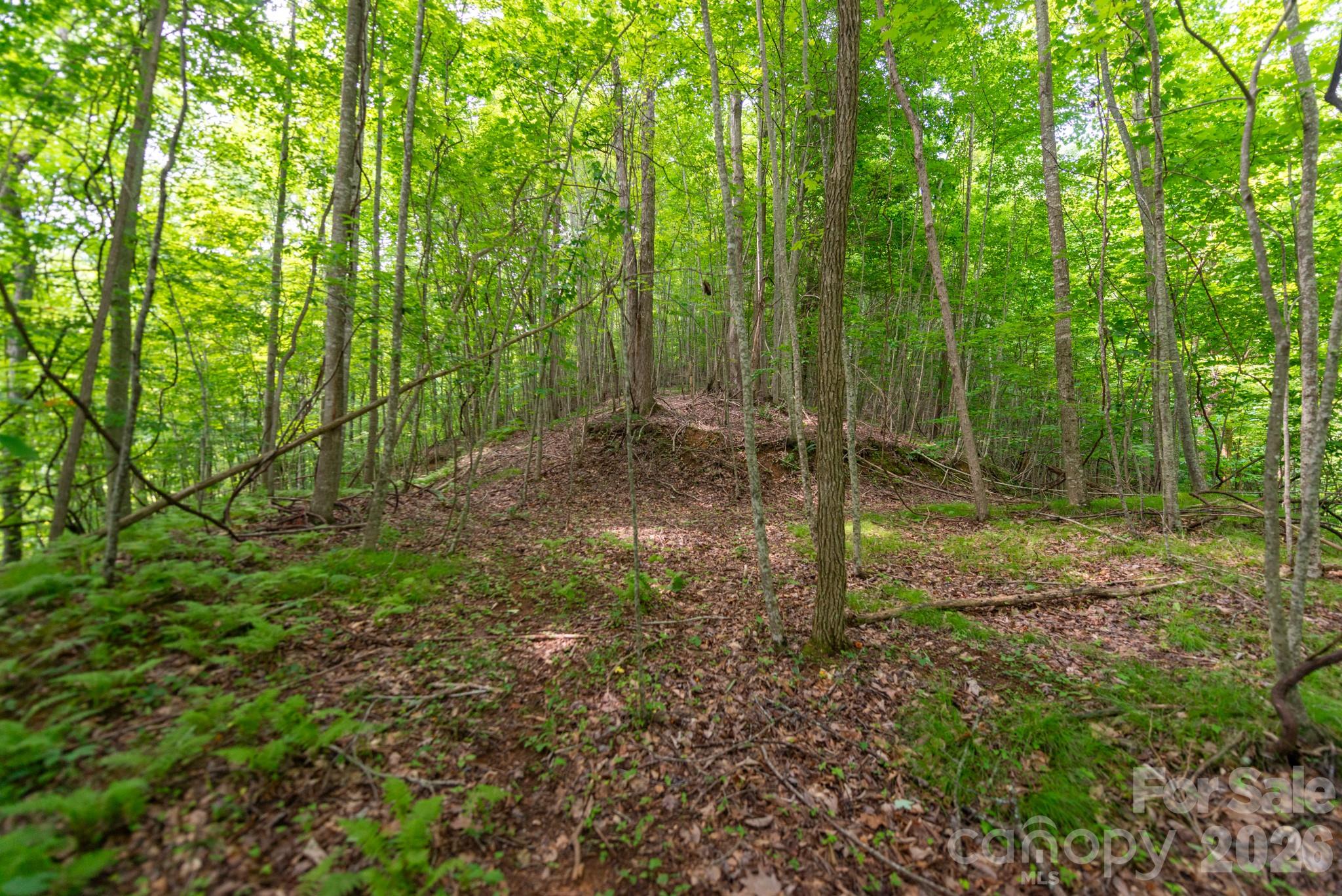 ### Board Tree Road 2 Property Photo 1
