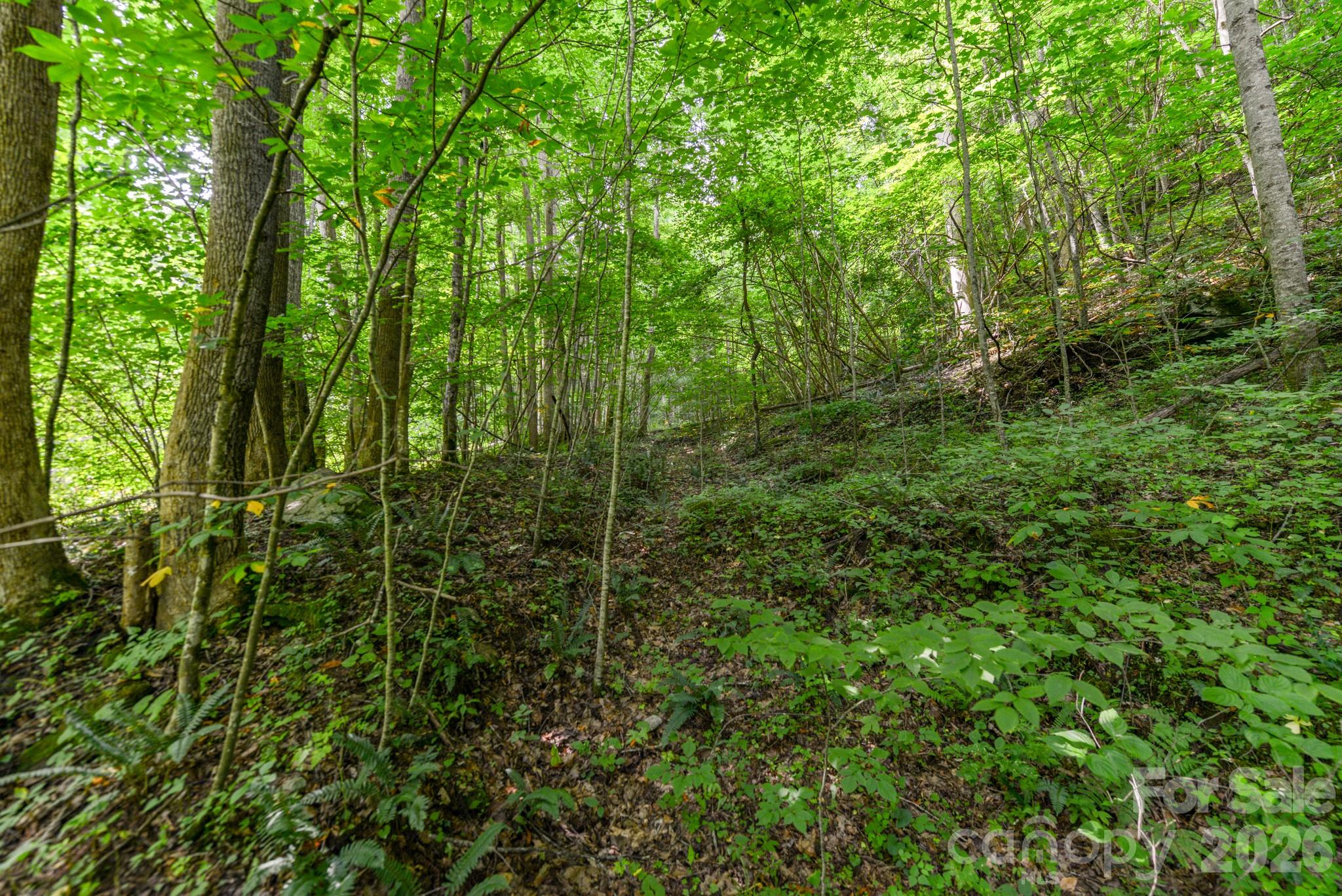 ### Board Tree Road 2 Property Photo 5