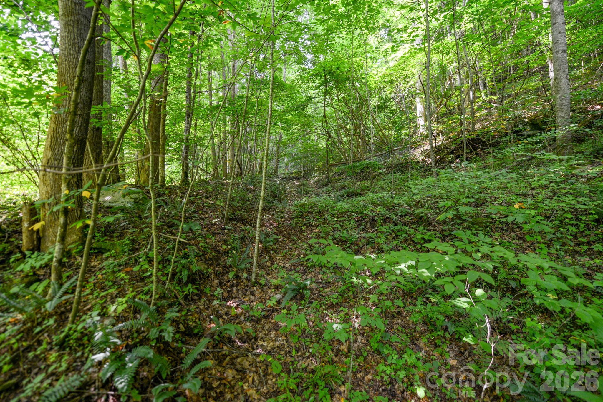 ### Board Tree Road 2 Property Photo 6