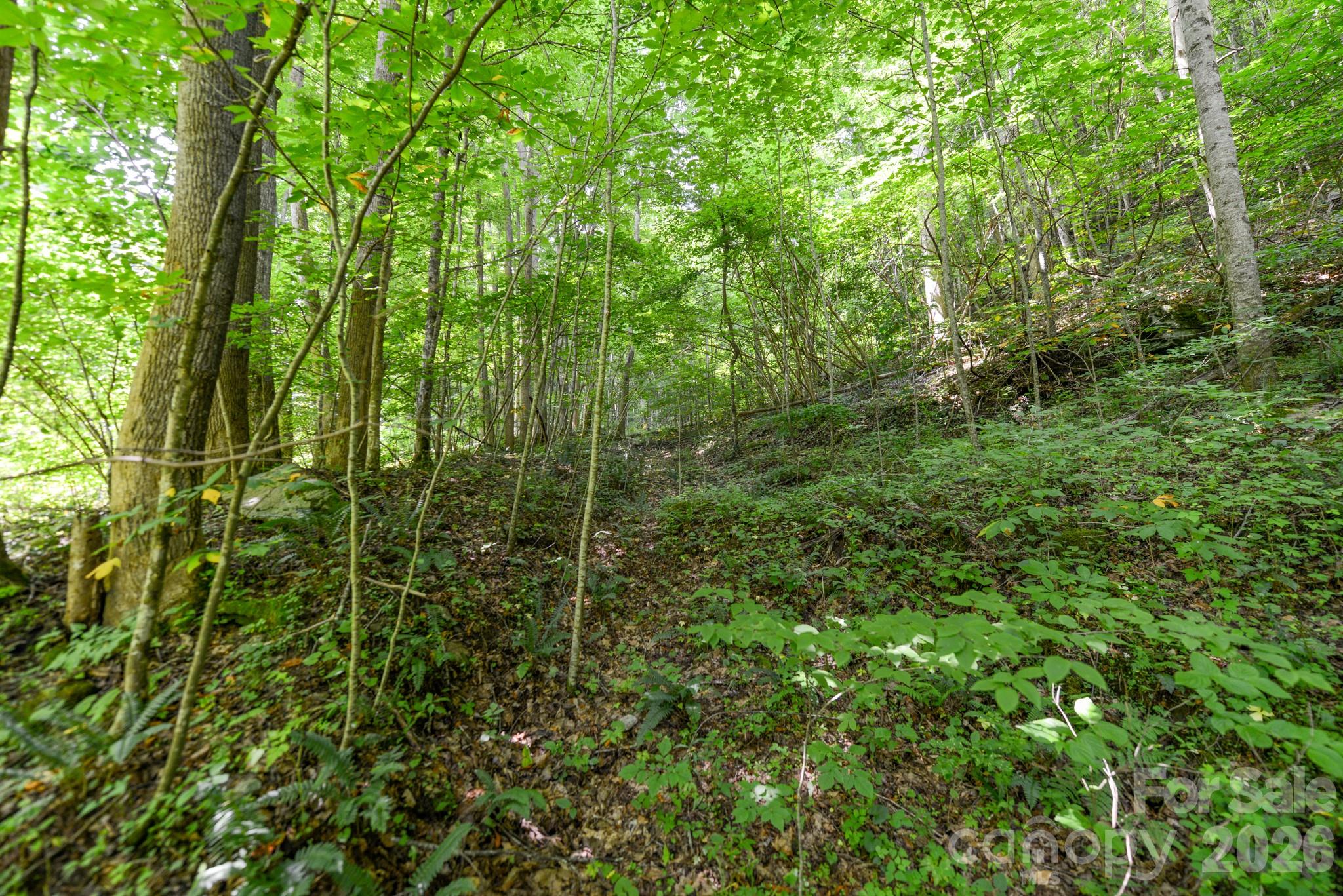 ### Board Tree Road 2 Property Photo 7