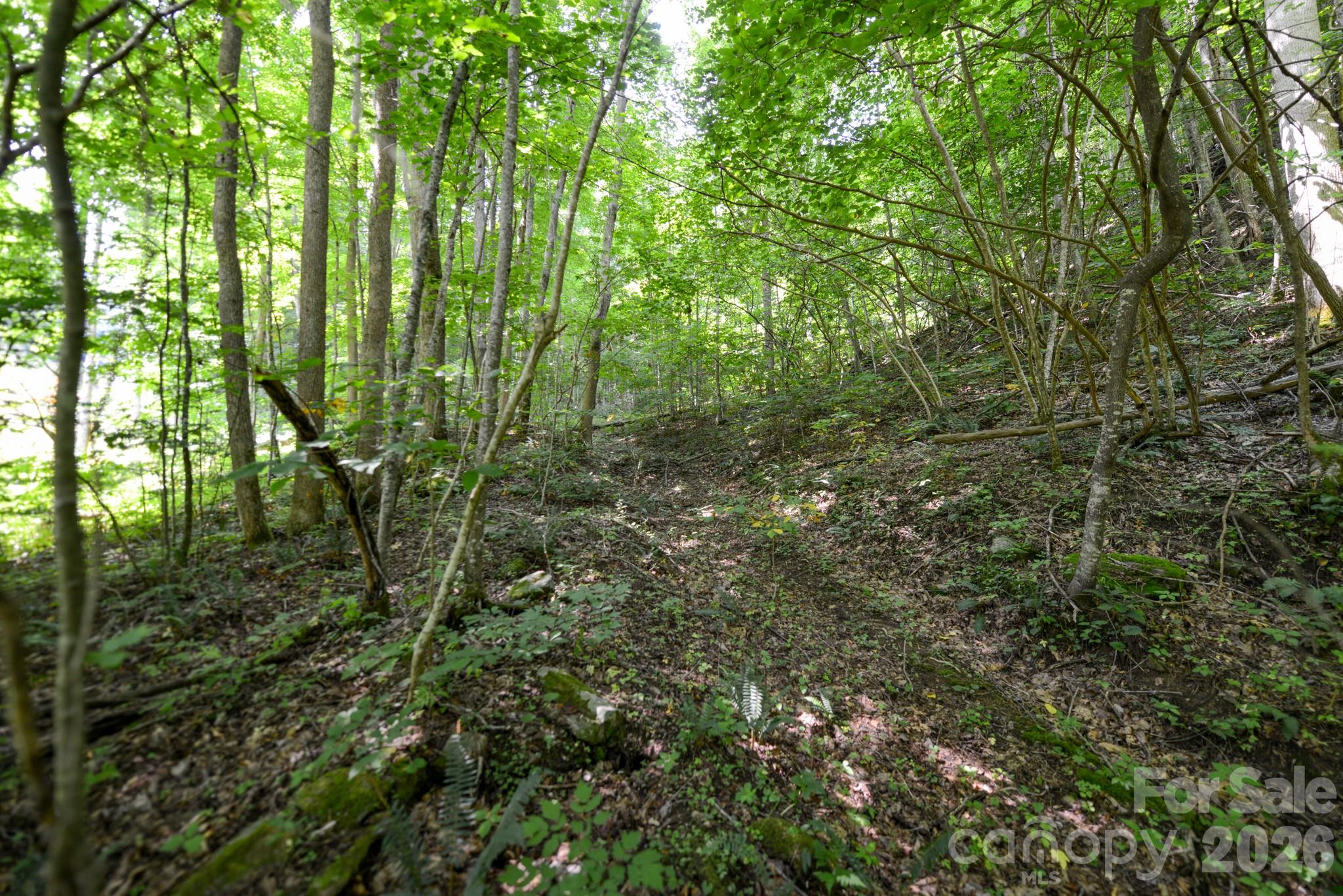 ### Board Tree Road 2 Property Photo 8
