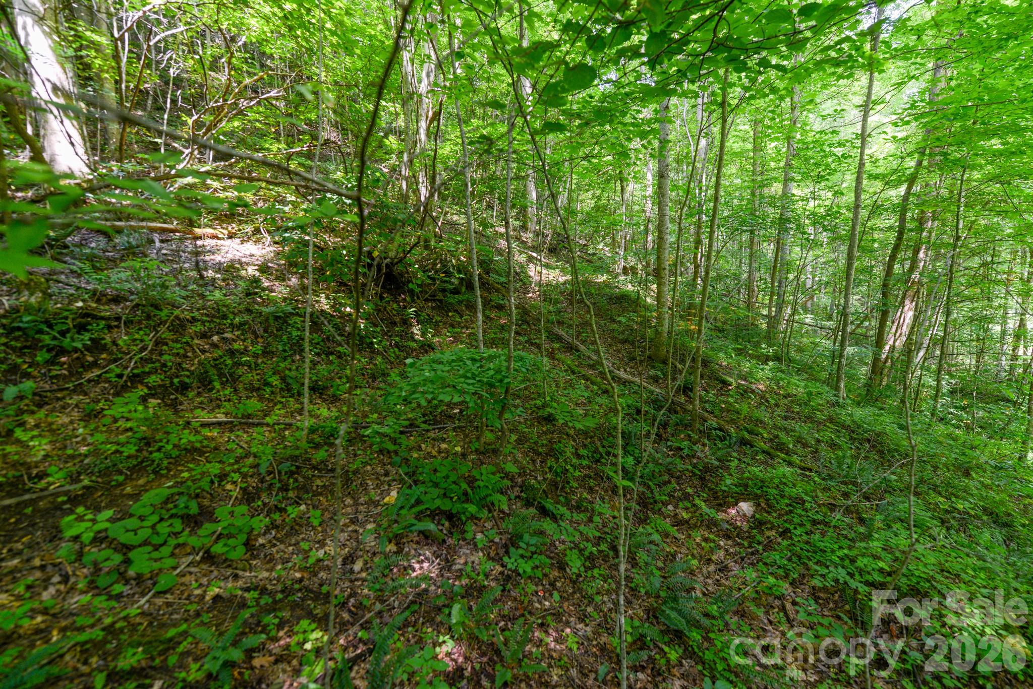 ### Board Tree Road 2 Property Photo 9