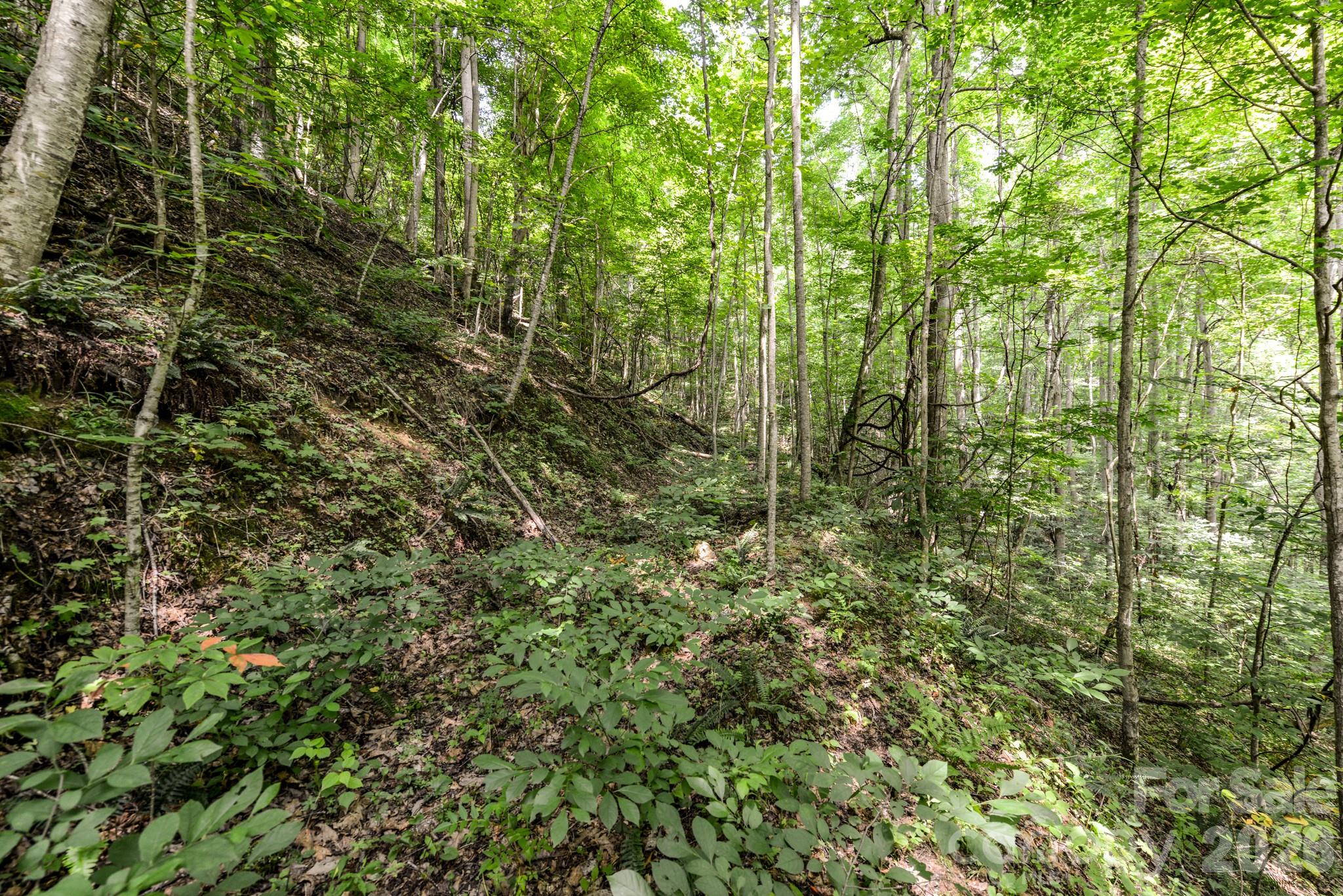 ### Board Tree Road 2 Property Photo 10
