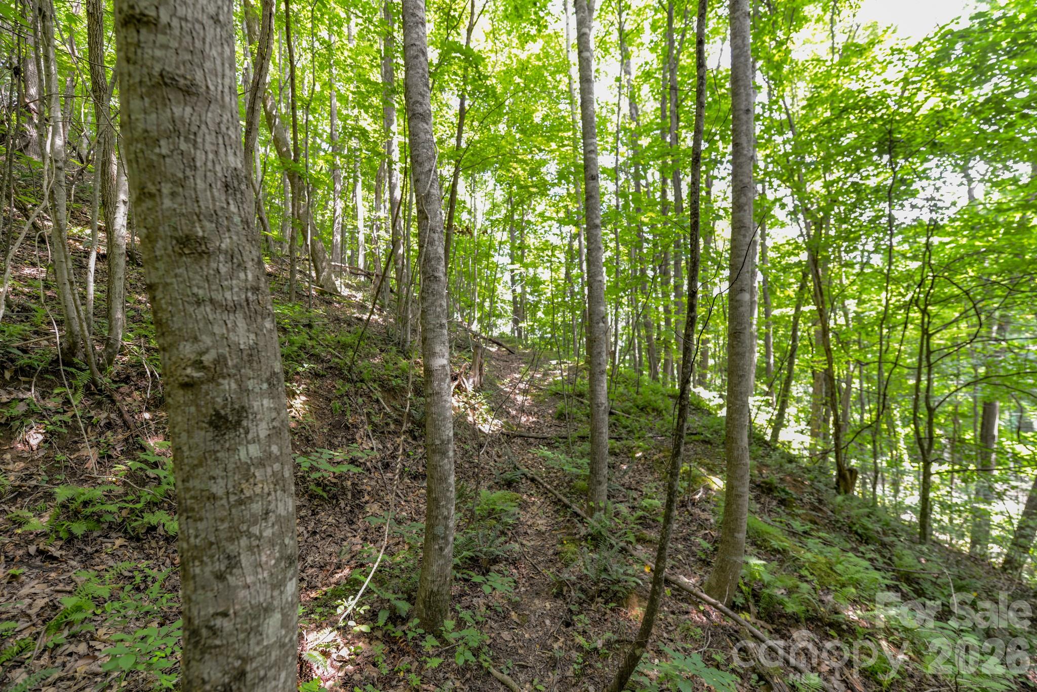 ### Board Tree Road 2 Property Photo 11