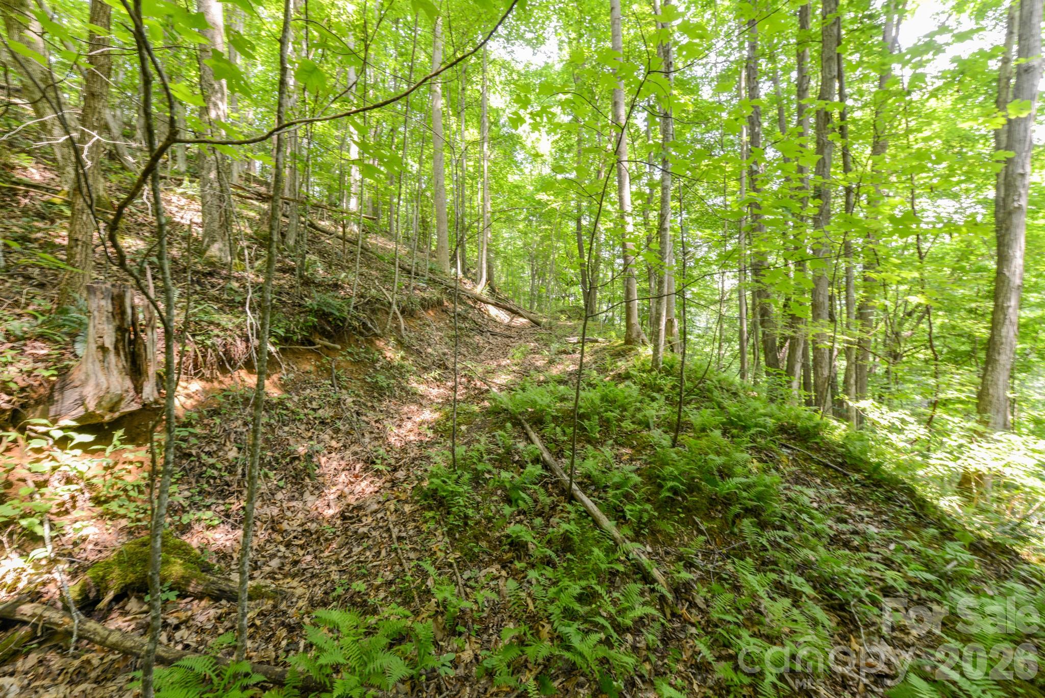 ### Board Tree Road 2 Property Photo 12