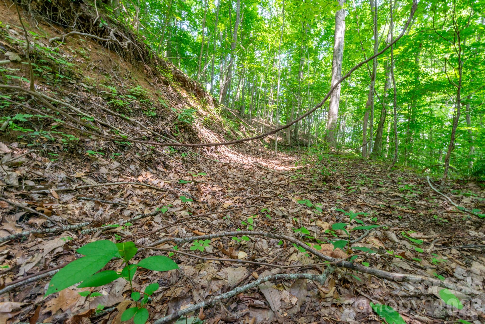 ### Board Tree Road 2 Property Photo 13