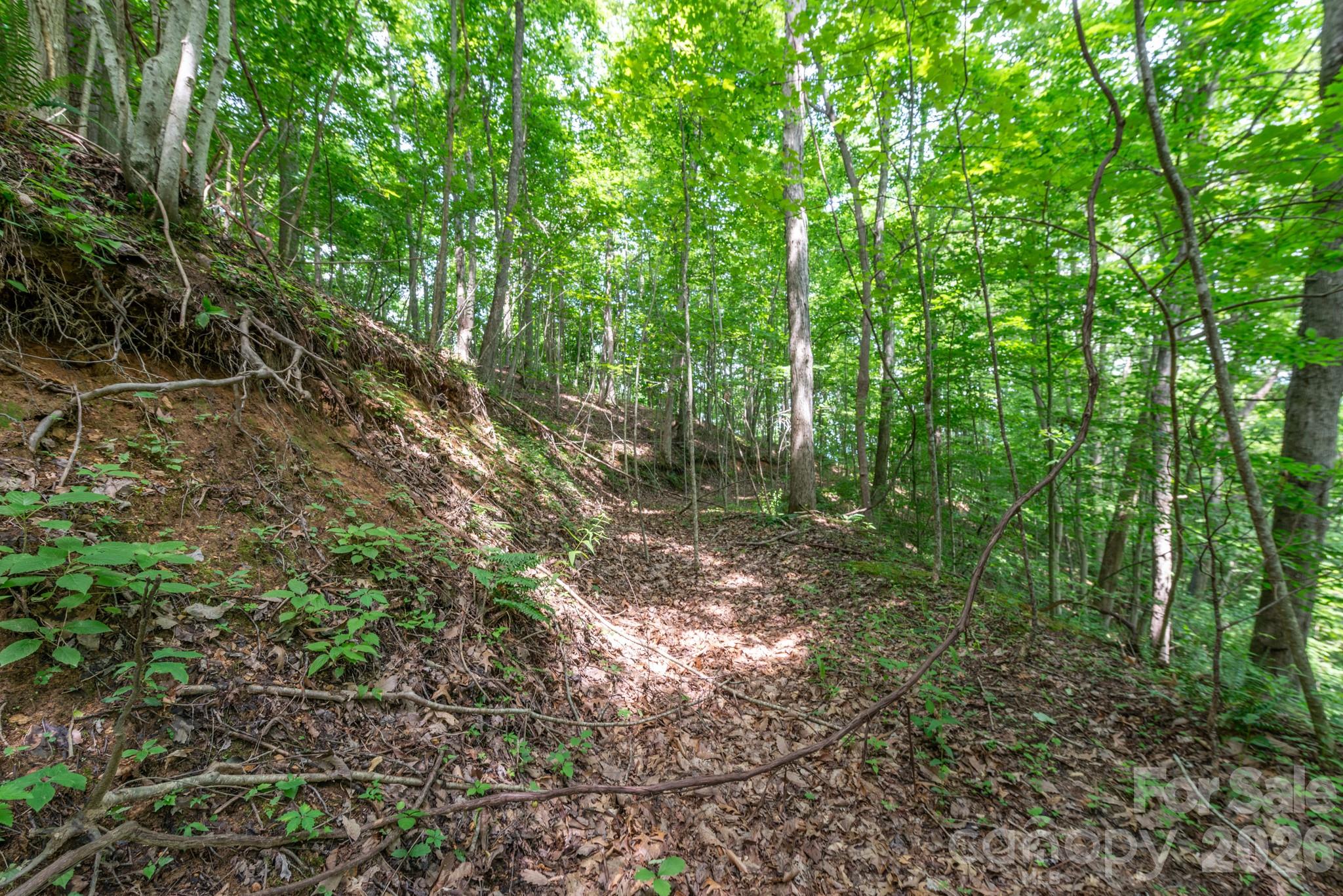 ### Board Tree Road 2 Property Photo 14