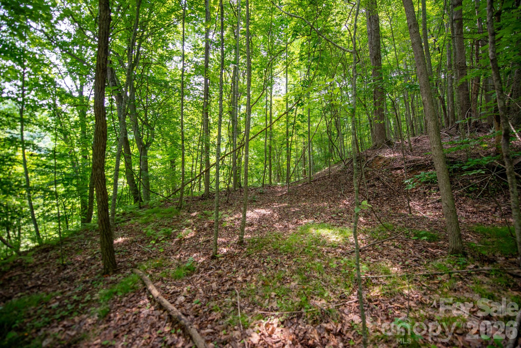 ### Board Tree Road 2 Property Photo 15