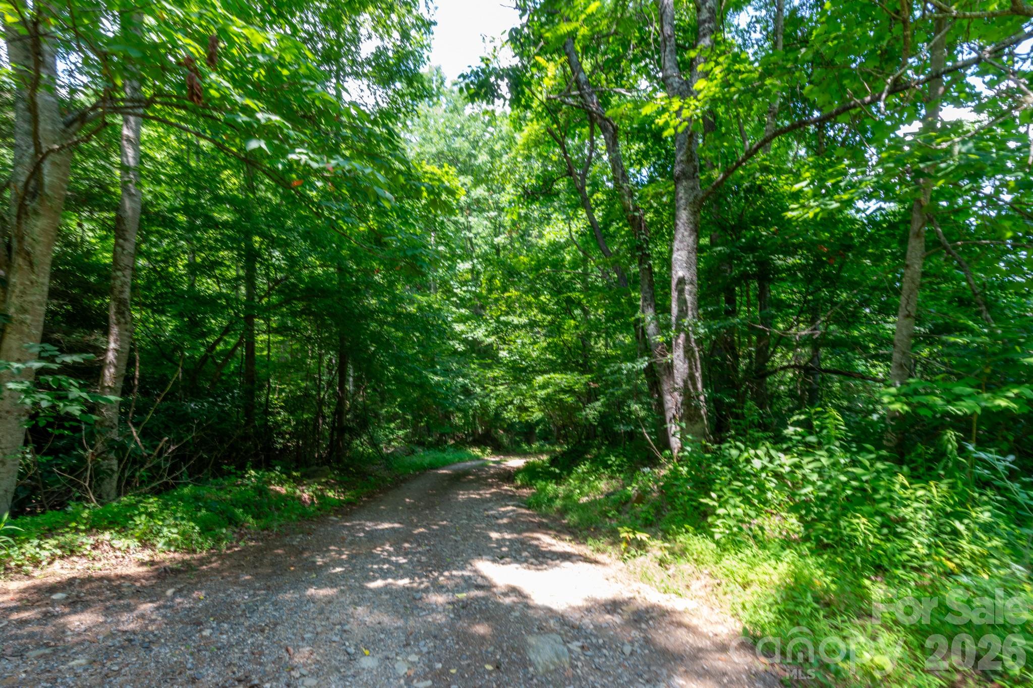 ### Board Tree Road 2 Property Photo 16