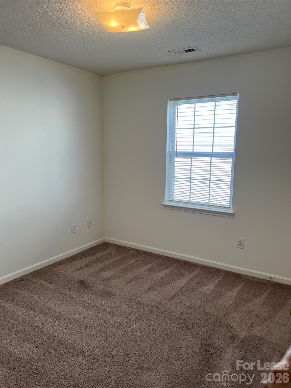 162 Springwood Lane Property Photo 13