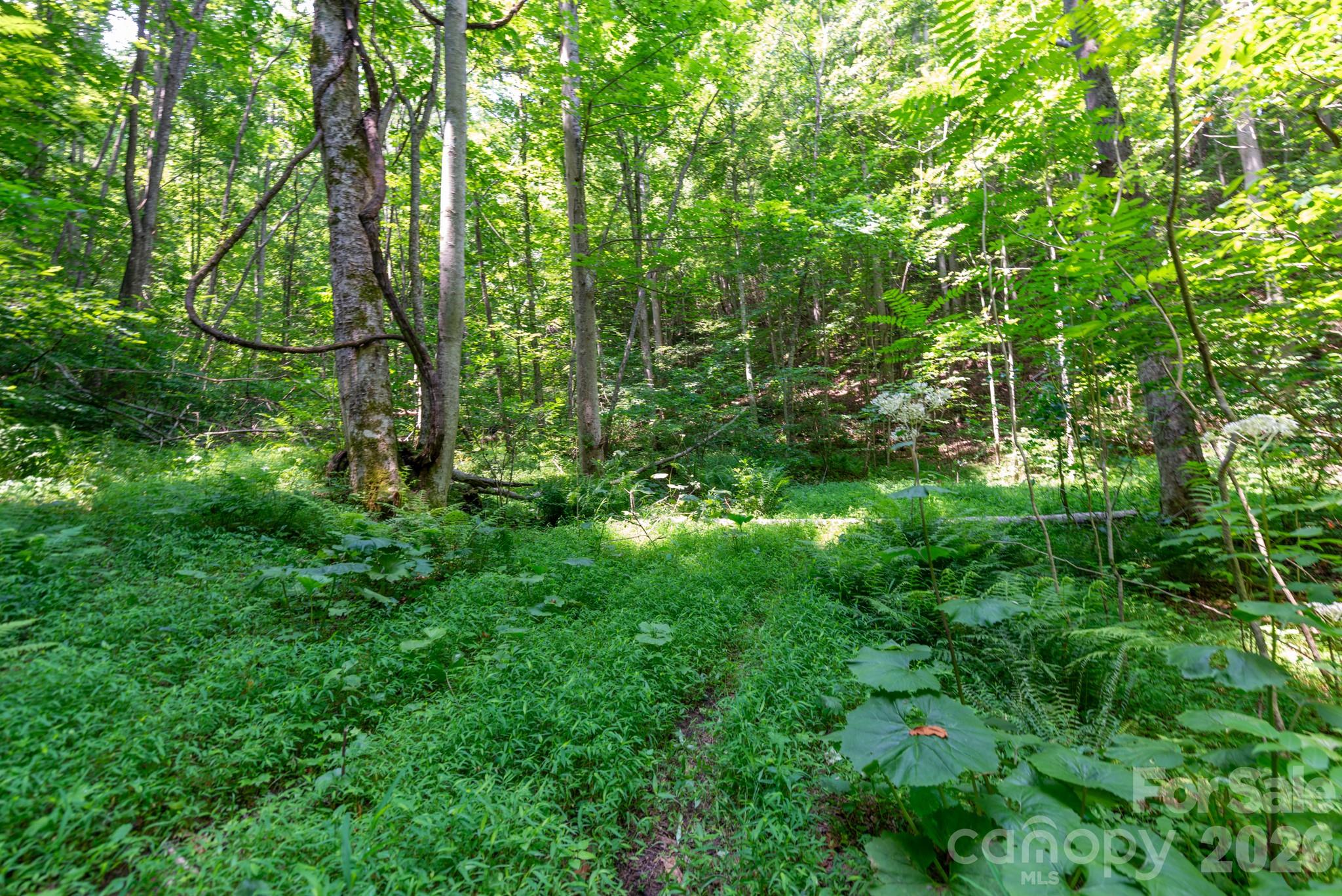 ### Board Tree Road 3 Property Photo 1