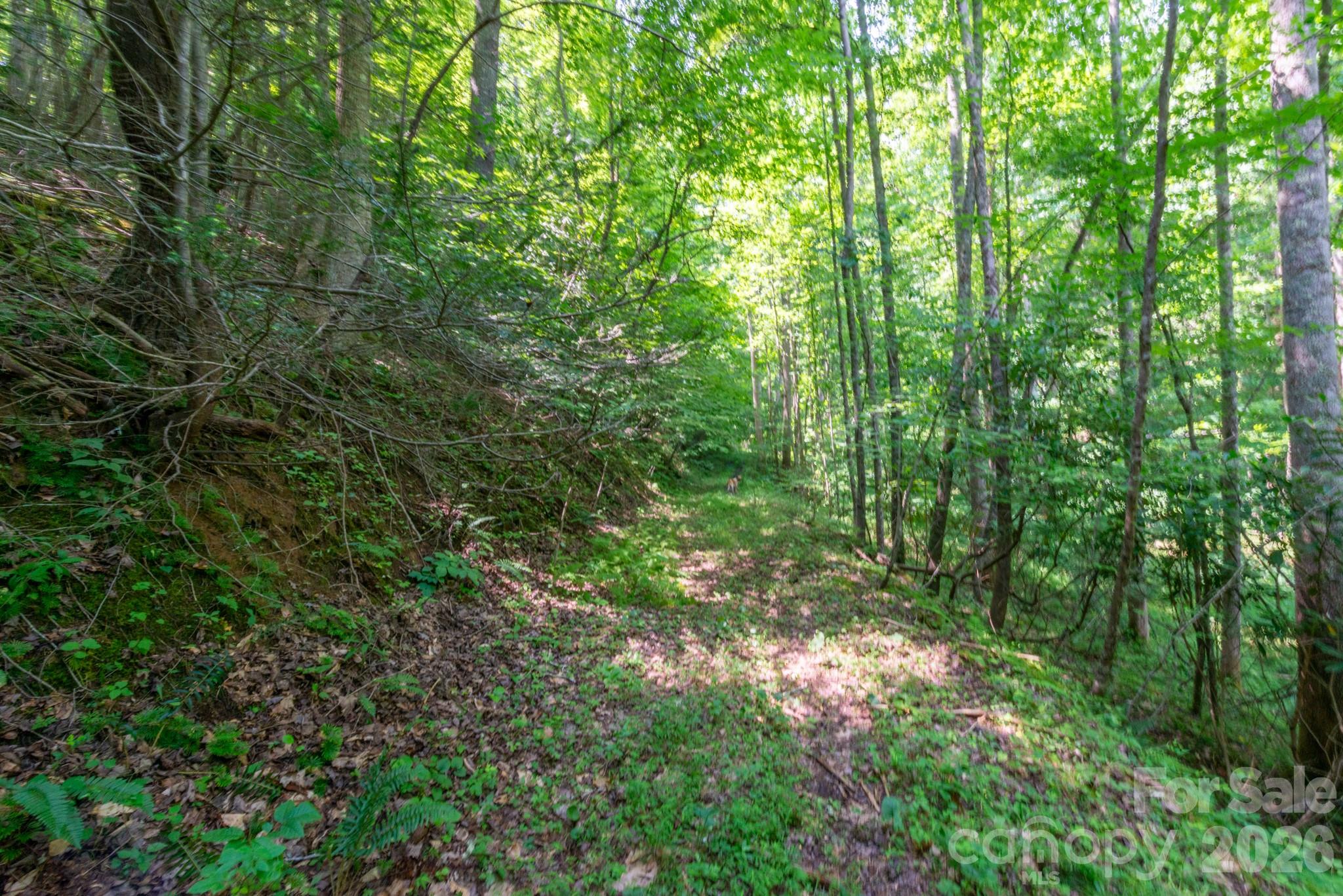 ### Board Tree Road 3 Property Photo 5