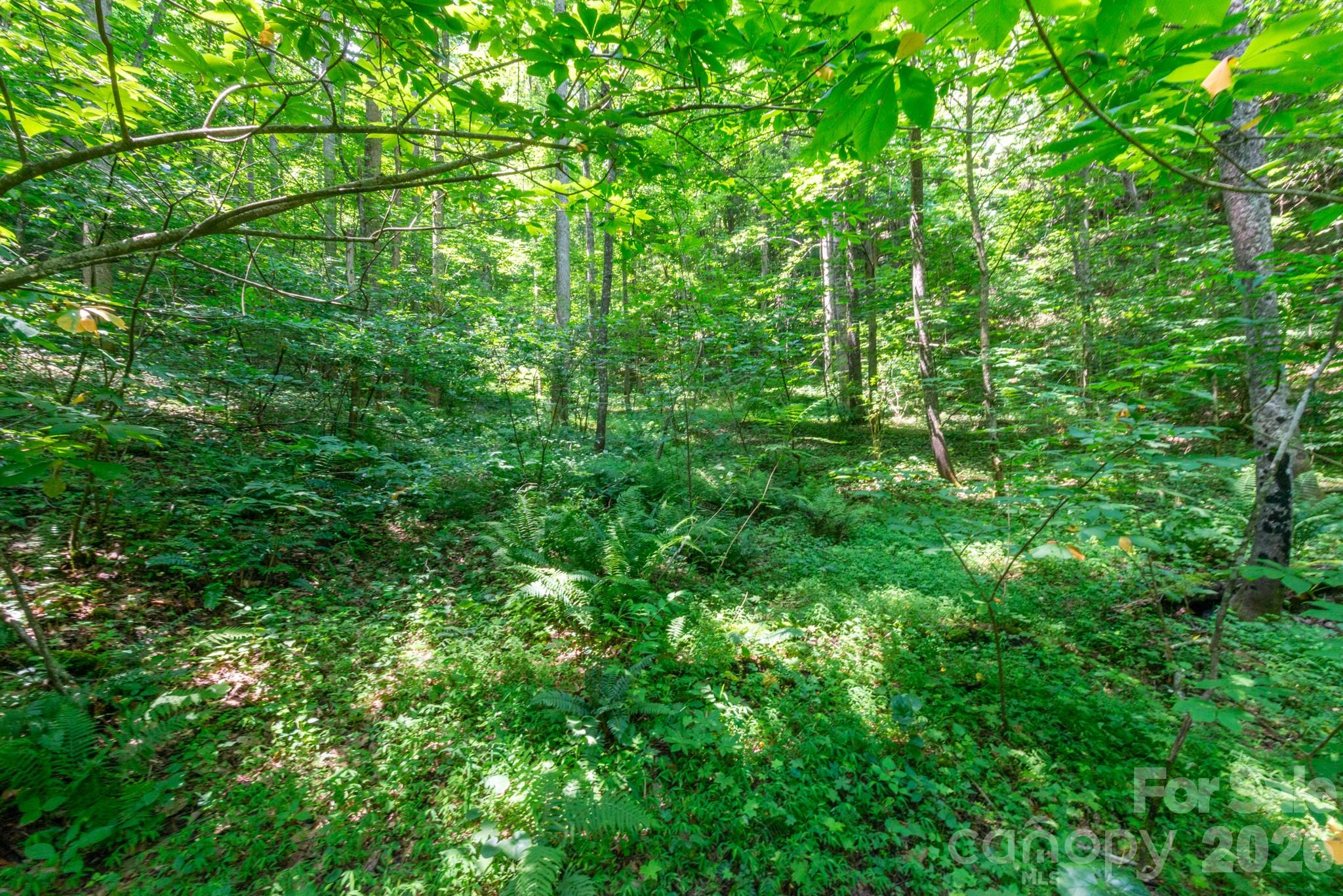### Board Tree Road 3 Property Photo 6