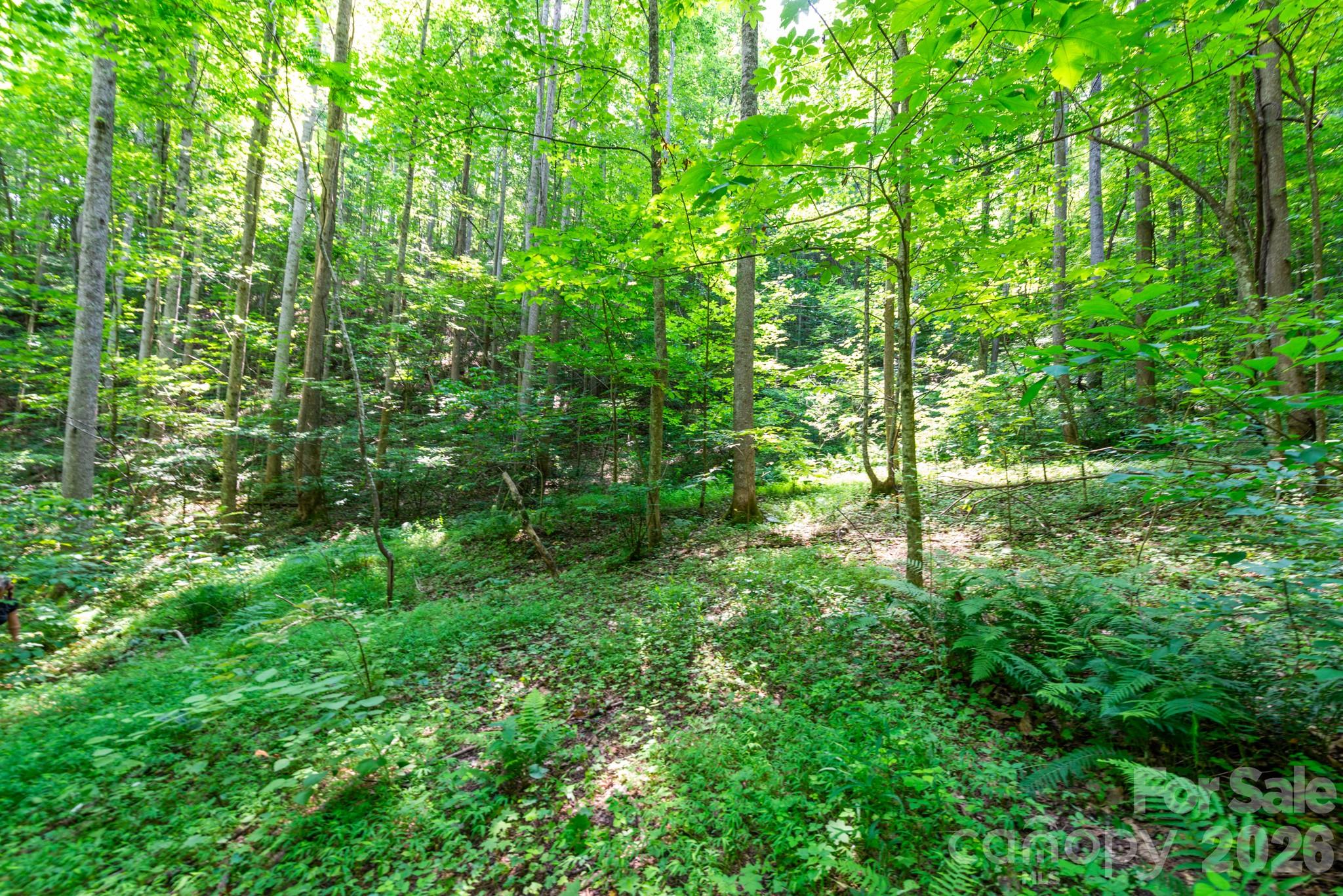 ### Board Tree Road 3 Property Photo 7