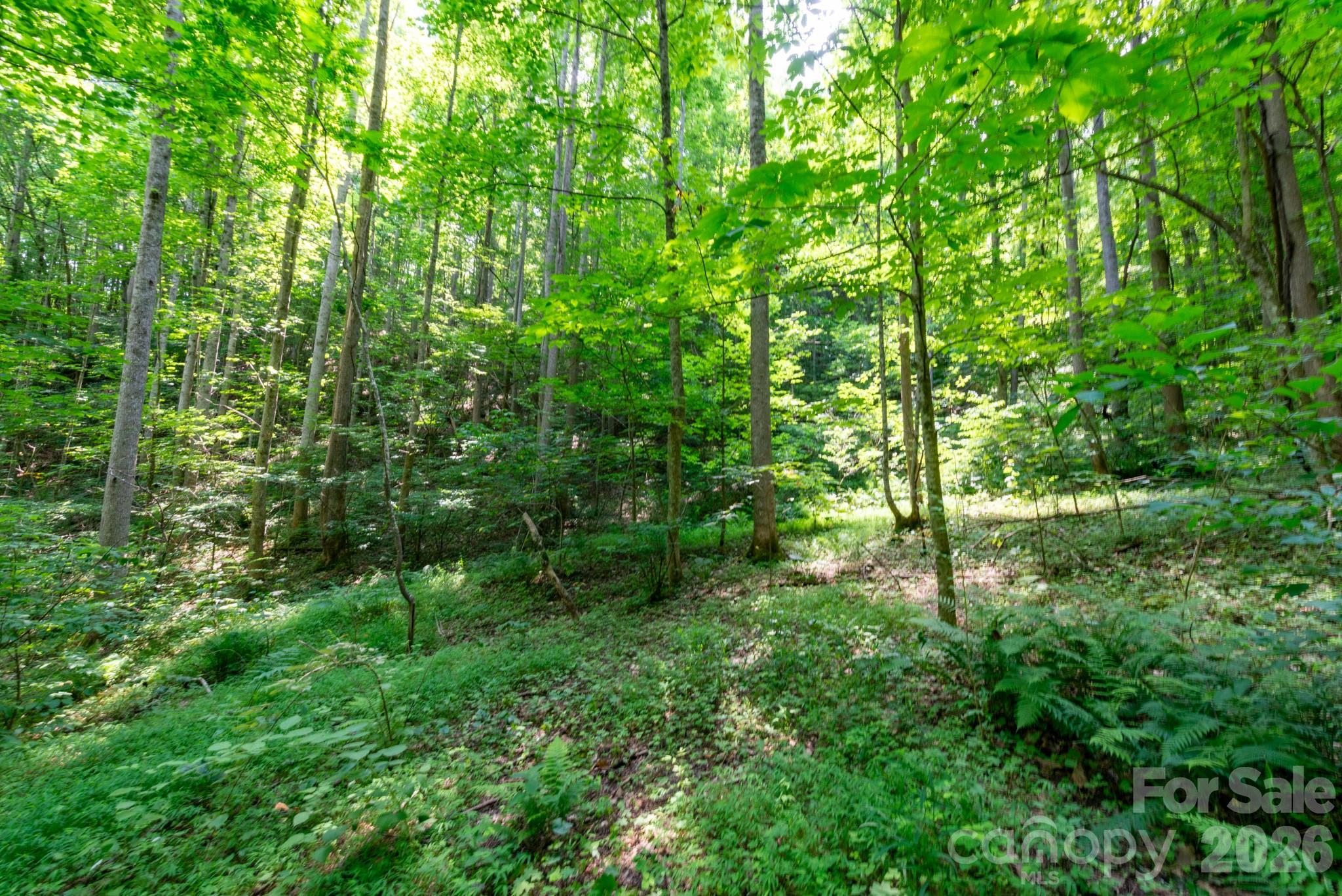 ### Board Tree Road 3 Property Photo 8