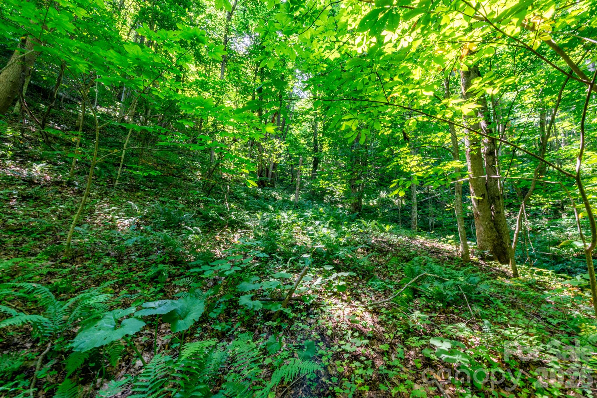 ### Board Tree Road 3 Property Photo 9