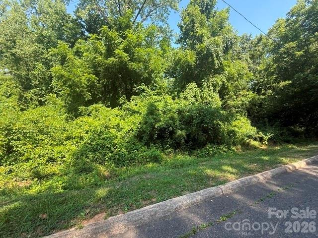 0 Hillside Drive Property Photo 2
