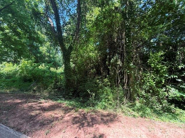 0 Hillside Drive Property Photo 4