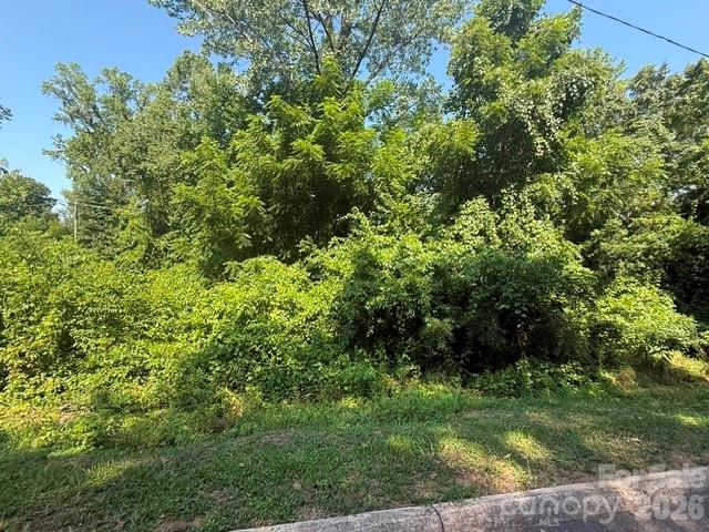 0 Hillside Drive Property Photo 6