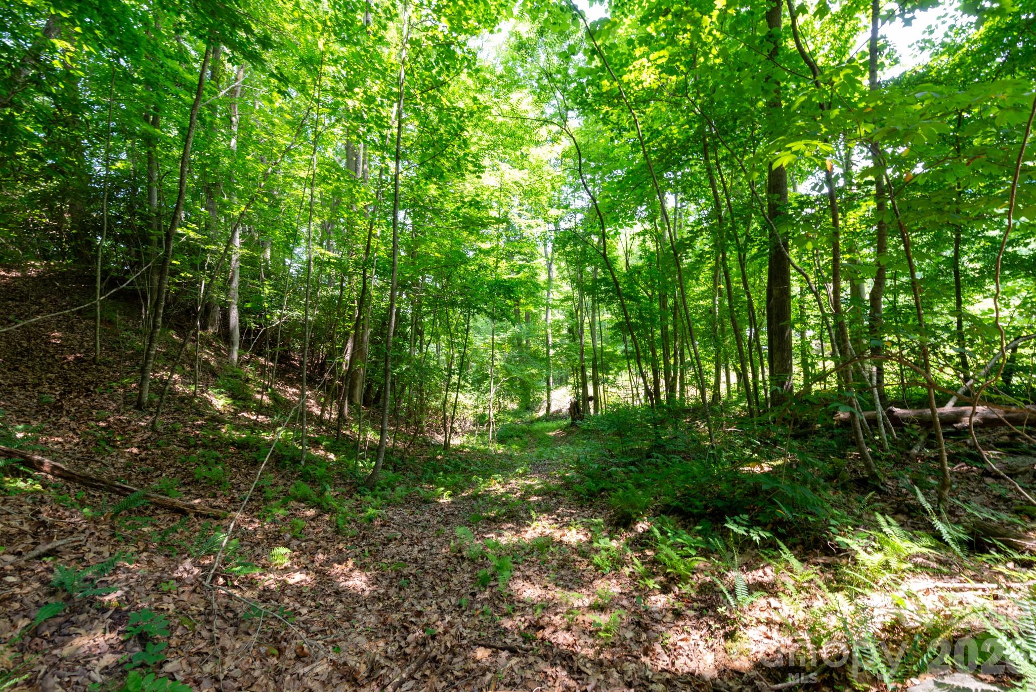 ### Board Tree Road 4 Property Photo 1