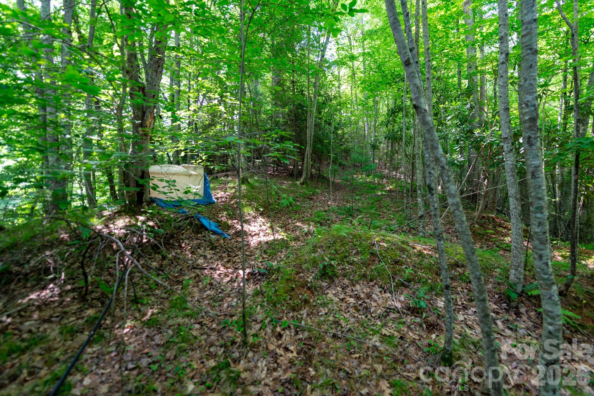 ### Board Tree Road 4 Property Photo 5