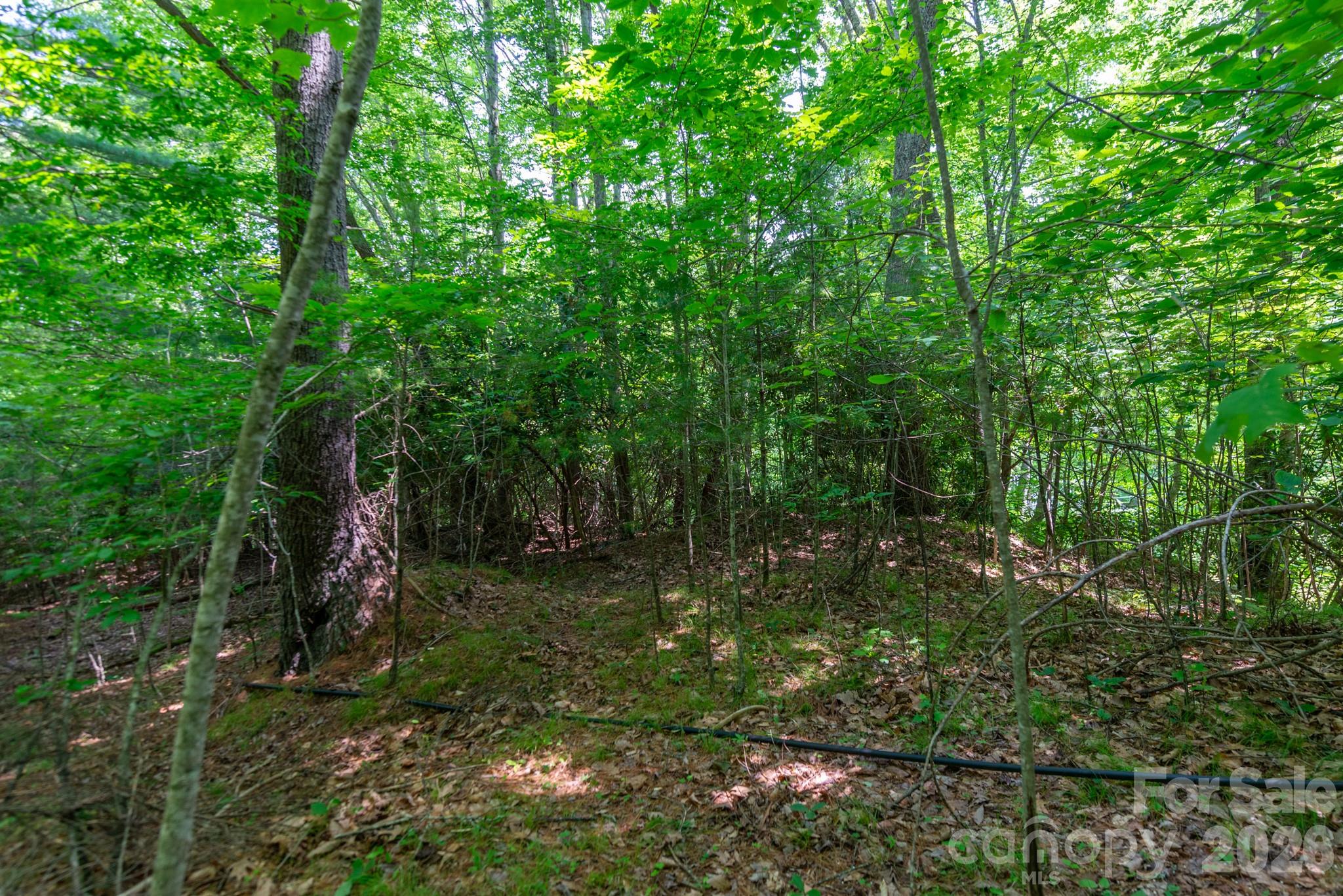### Board Tree Road 4 Property Photo 6
