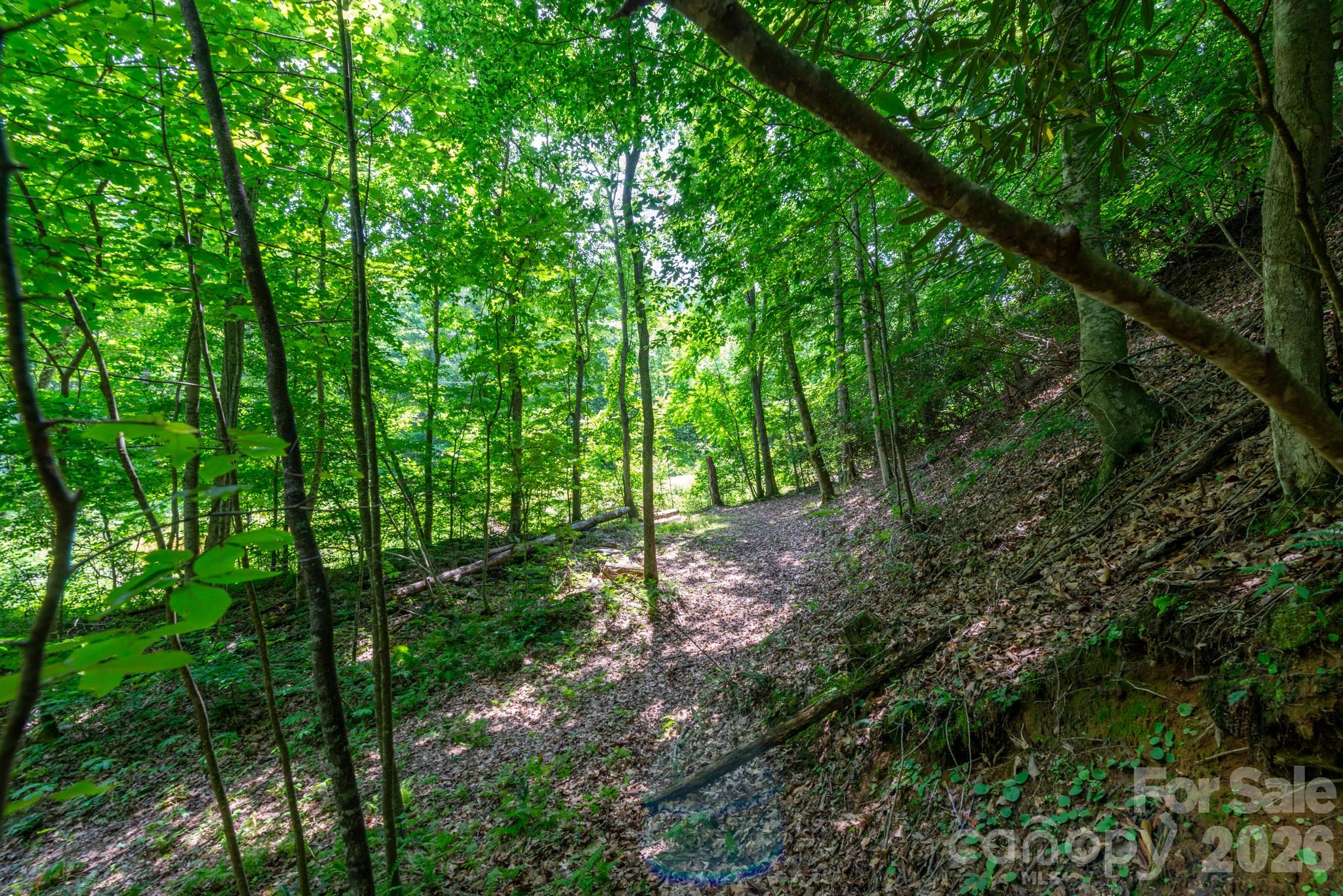 ### Board Tree Road 4 Property Photo 7