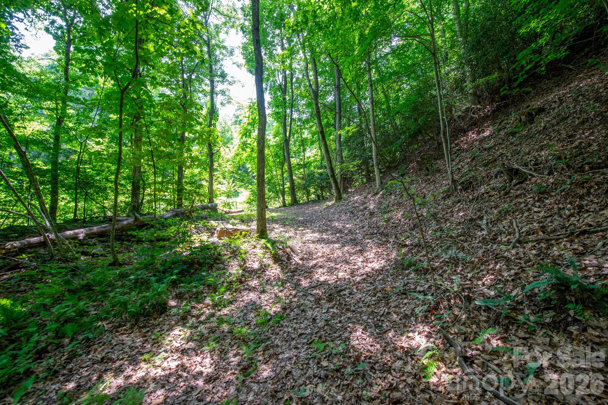 ### Board Tree Road 4 Property Photo 8