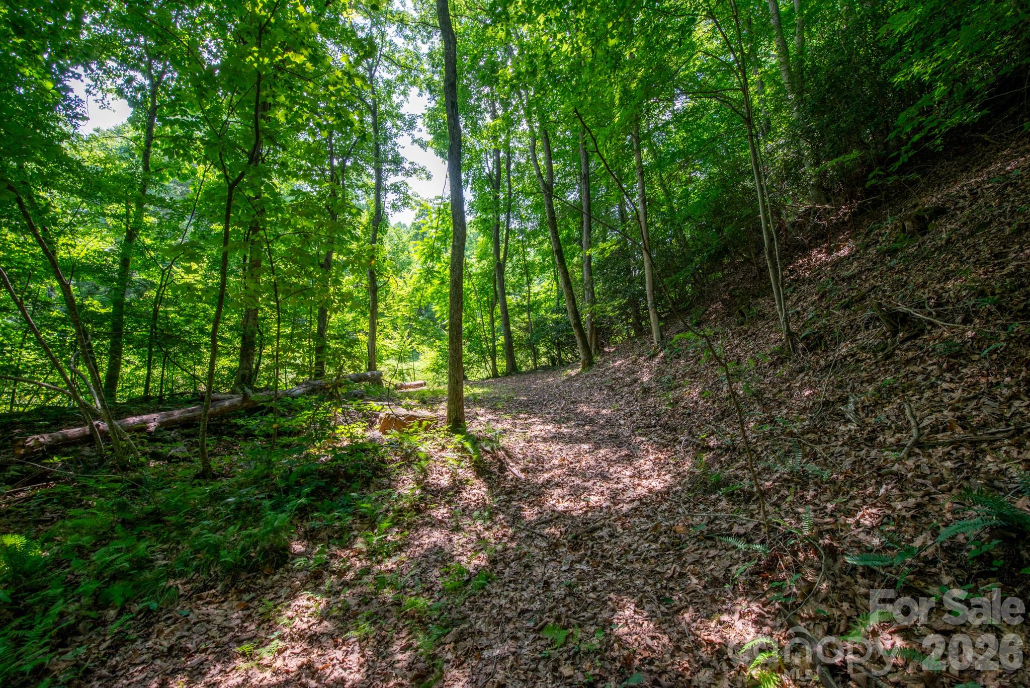 ### Board Tree Road 4 Property Photo 9