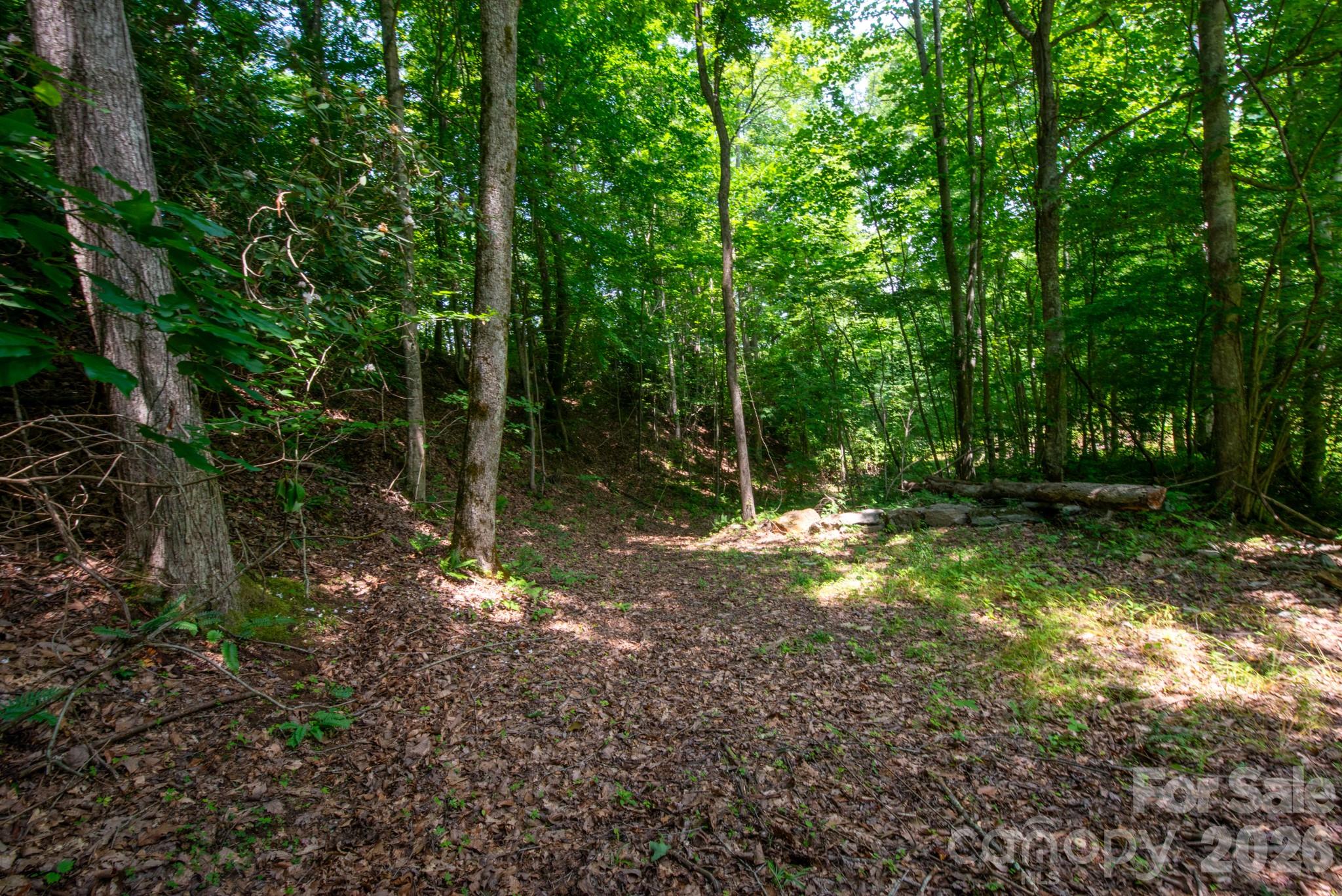 ### Board Tree Road 4 Property Photo 10