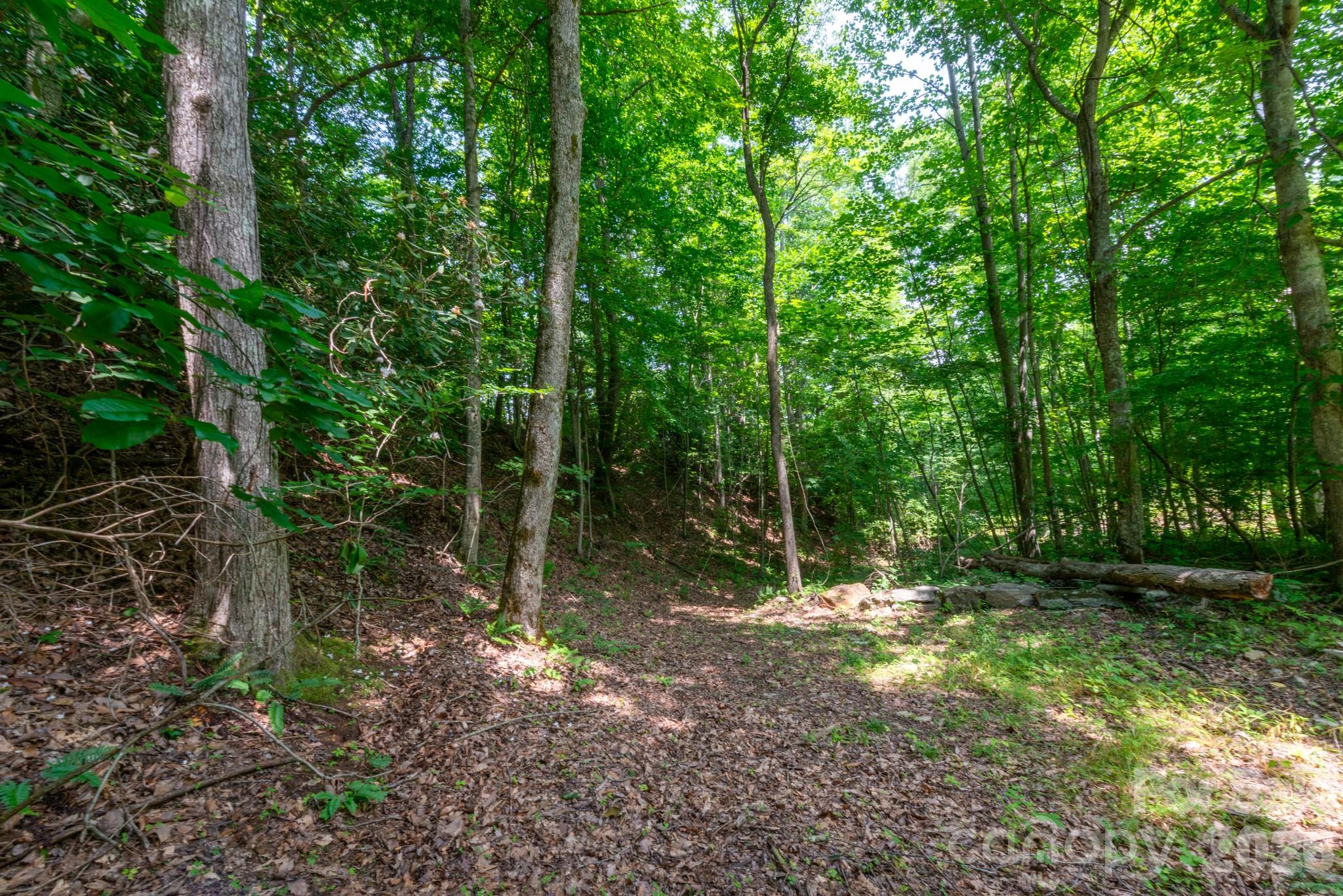 ### Board Tree Road 4 Property Photo 11