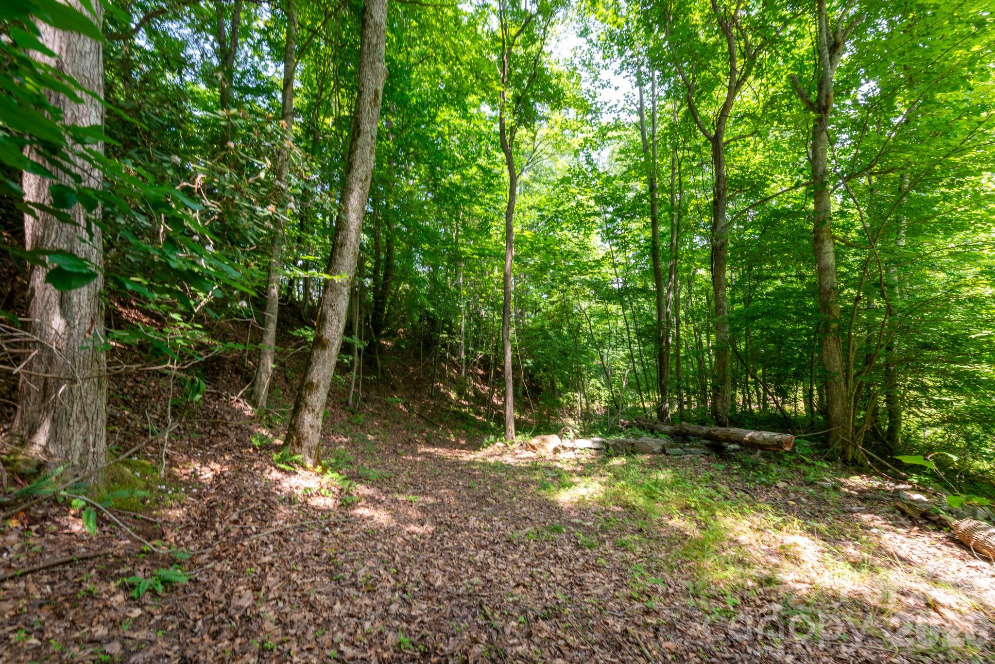 ### Board Tree Road 4 Property Photo 12
