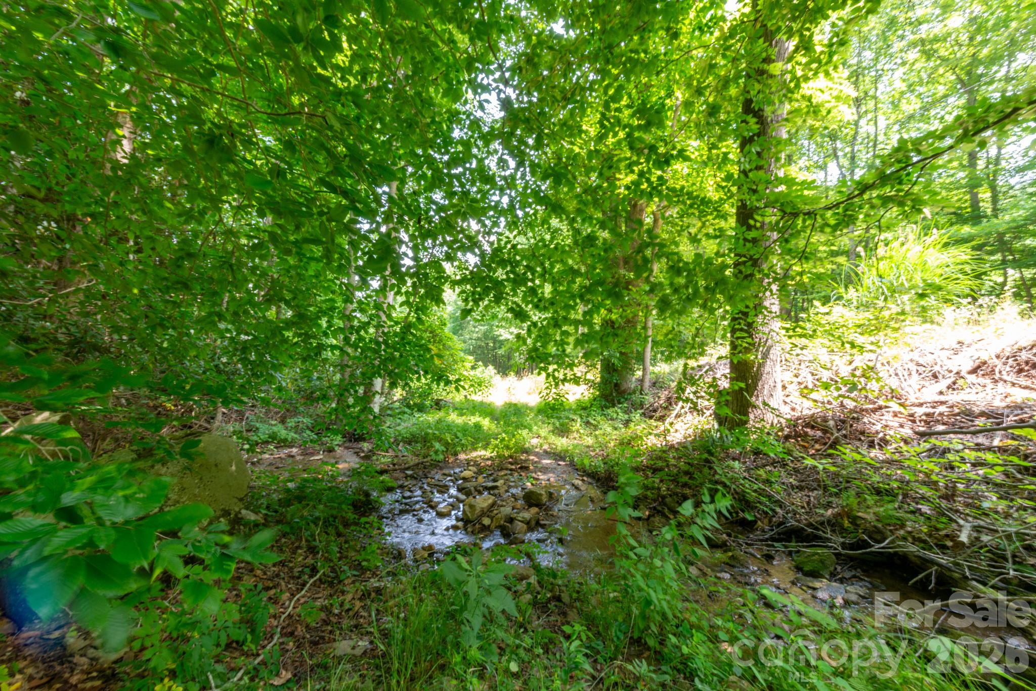 ### Board Tree Road 4 Property Photo 13