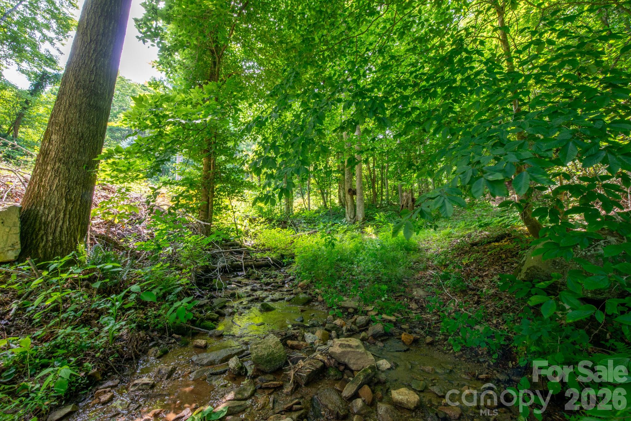 ### Board Tree Road 4 Property Photo 14